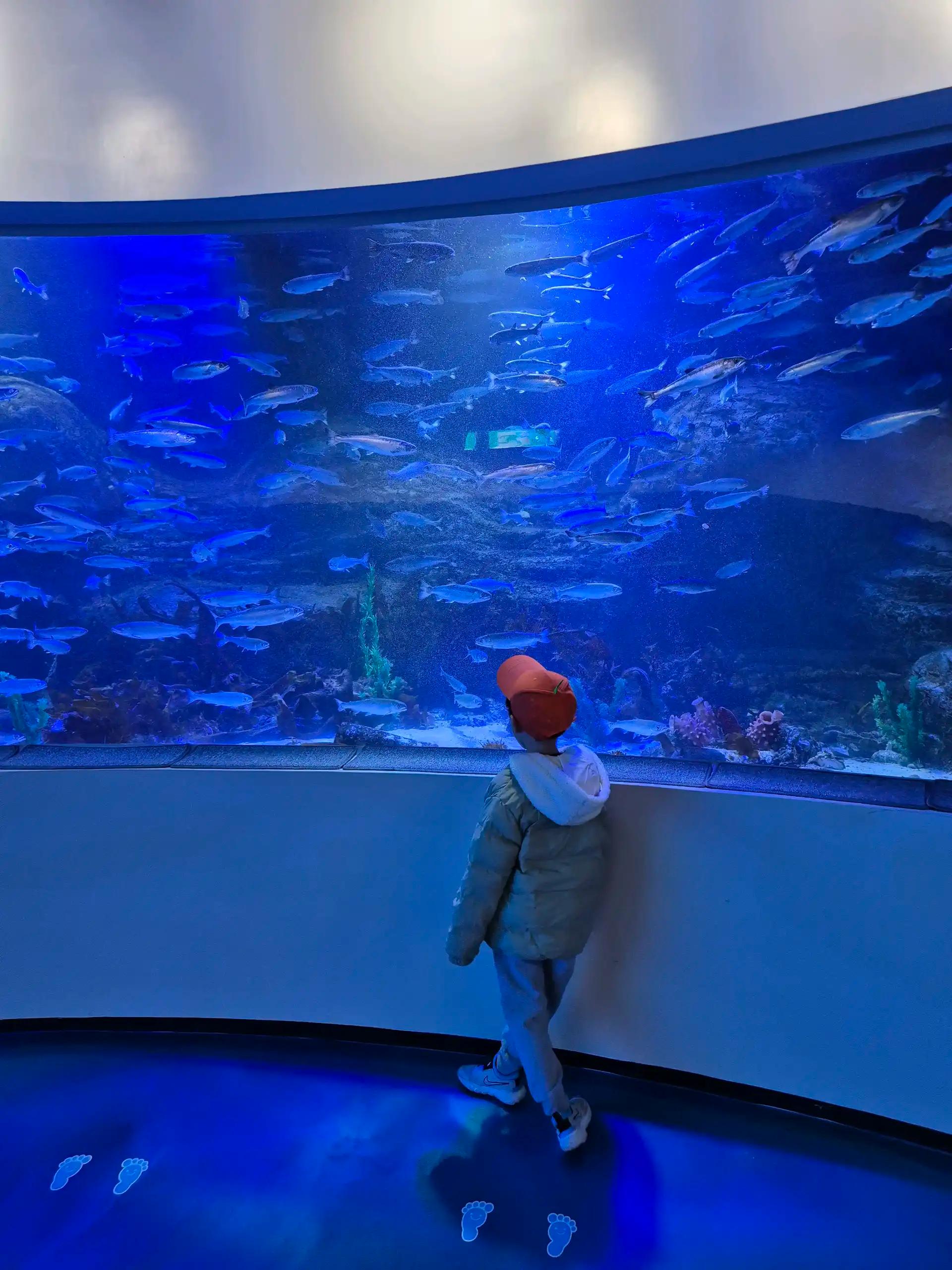 크루톡 이미지 5