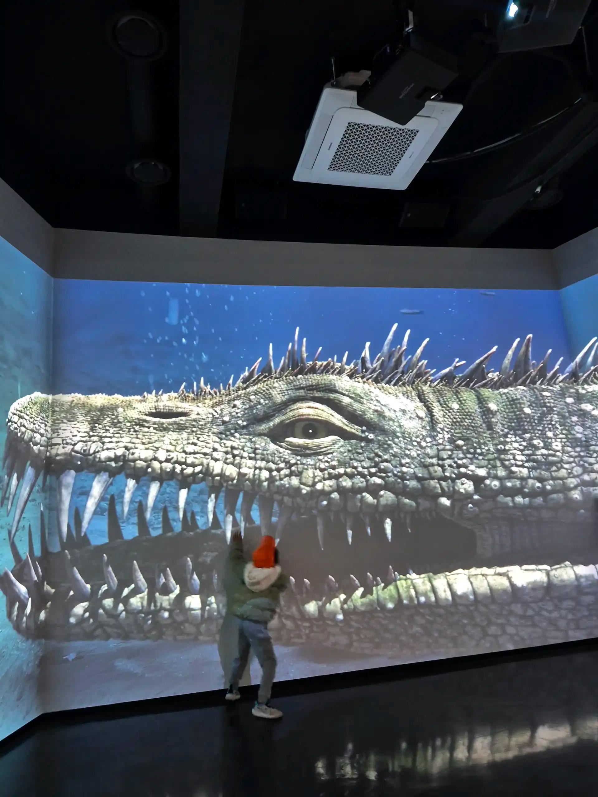 크루톡 이미지 6