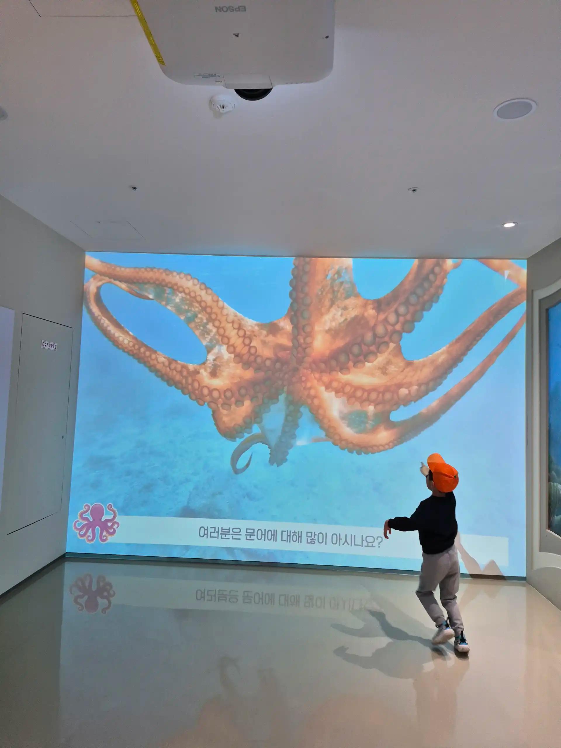 크루톡 이미지 9