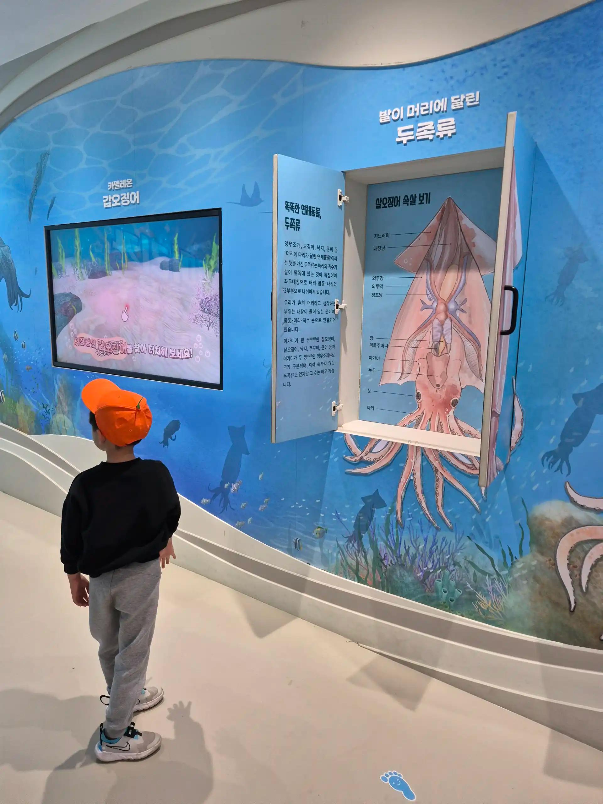 크루톡 이미지 10