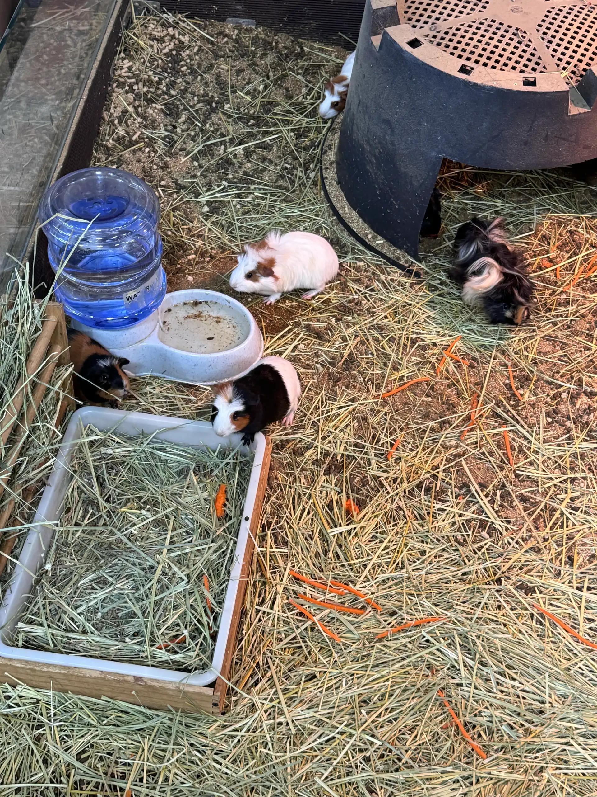 크루톡 이미지 3