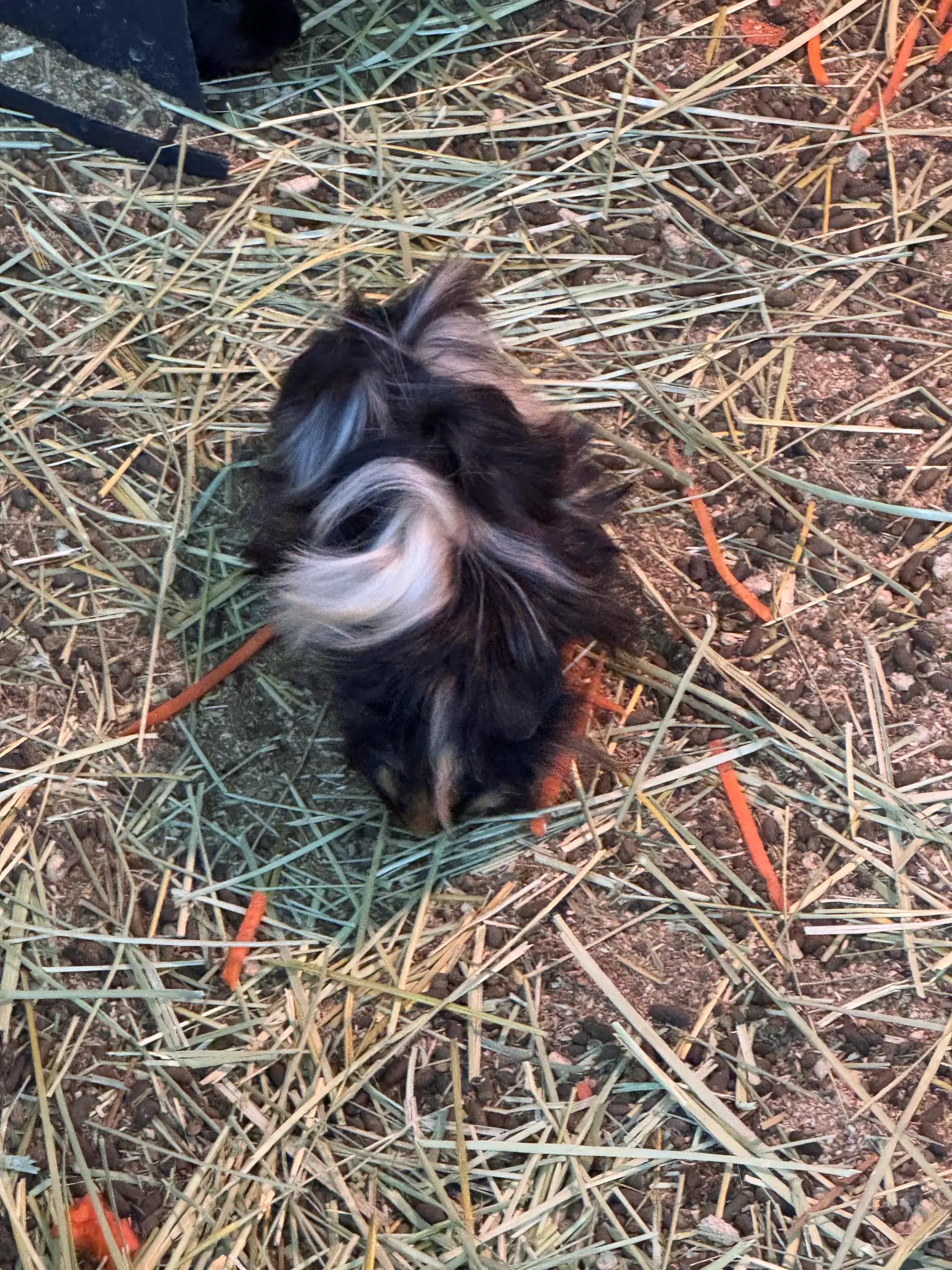 크루톡 이미지 4