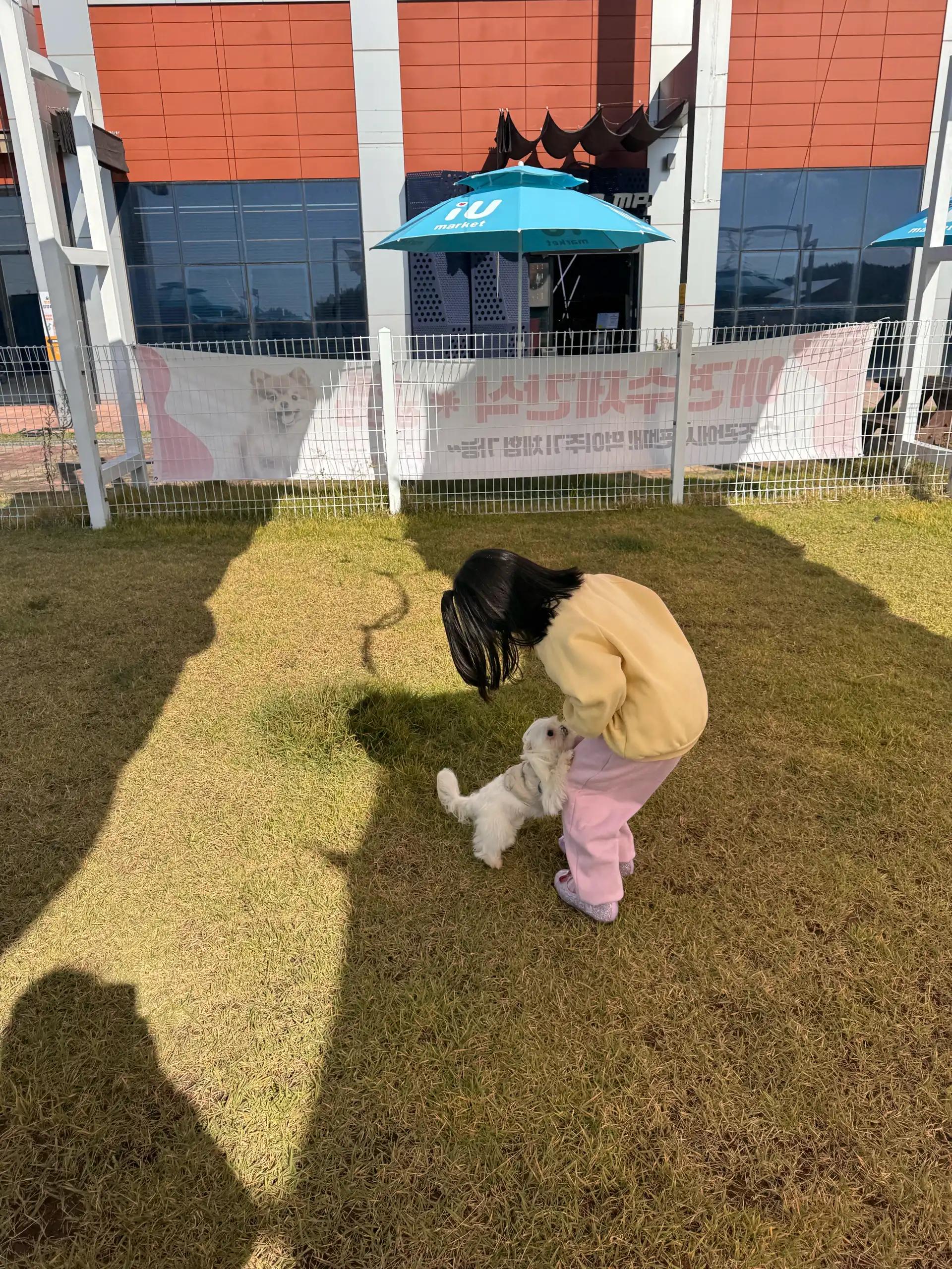 크루톡 이미지 10