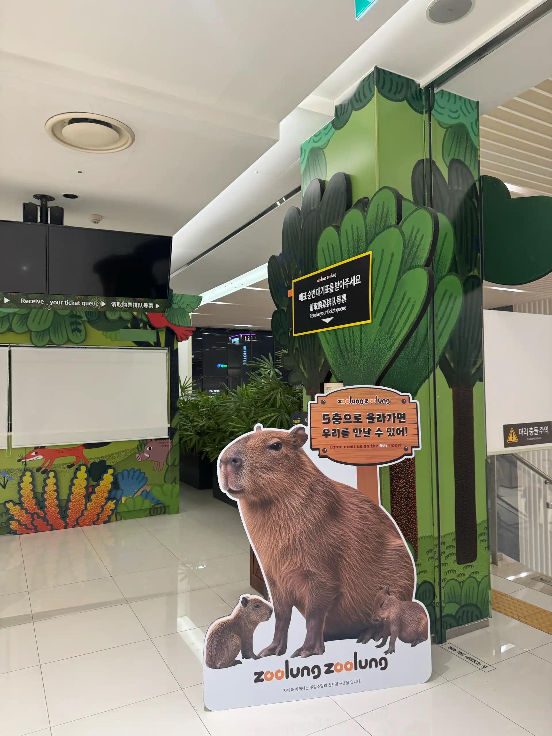 크루톡 이미지 2