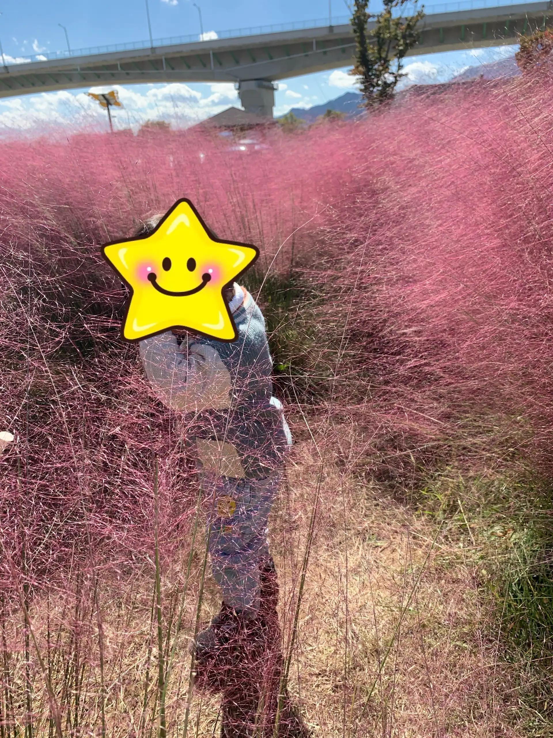 크루톡 이미지 3