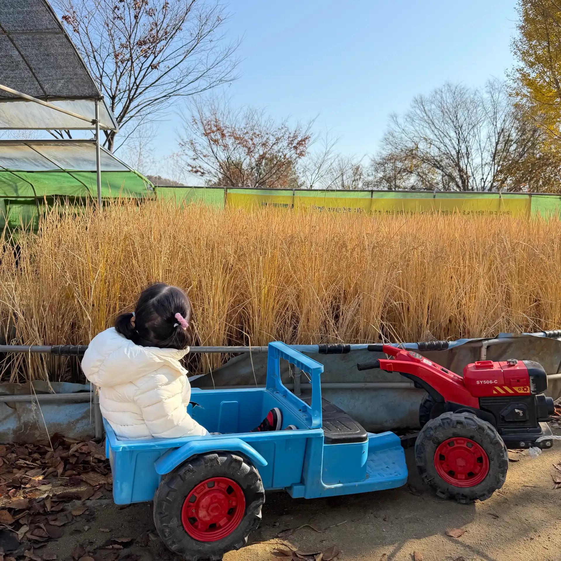 크루톡 이미지 3