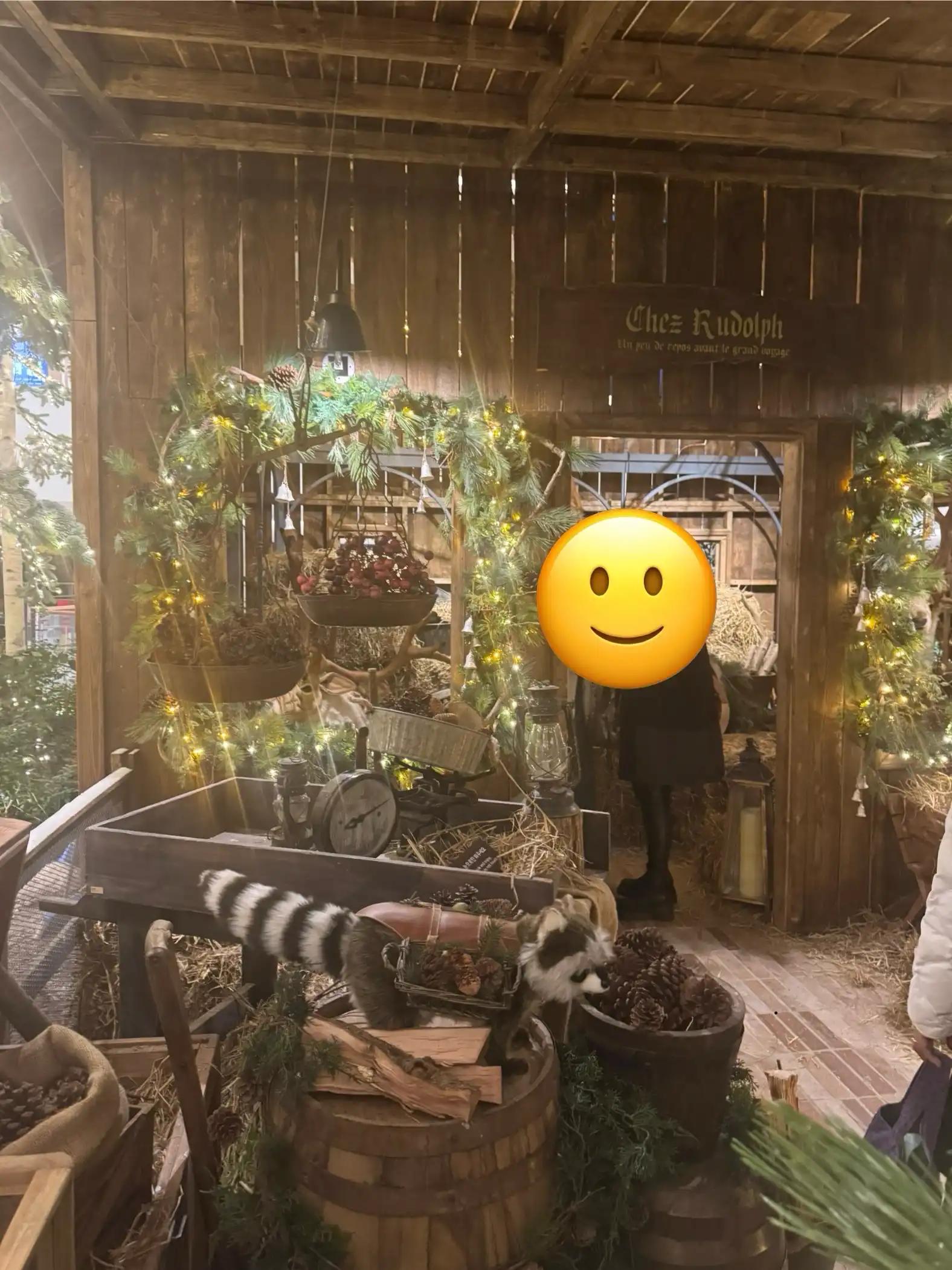 크루톡 이미지 2