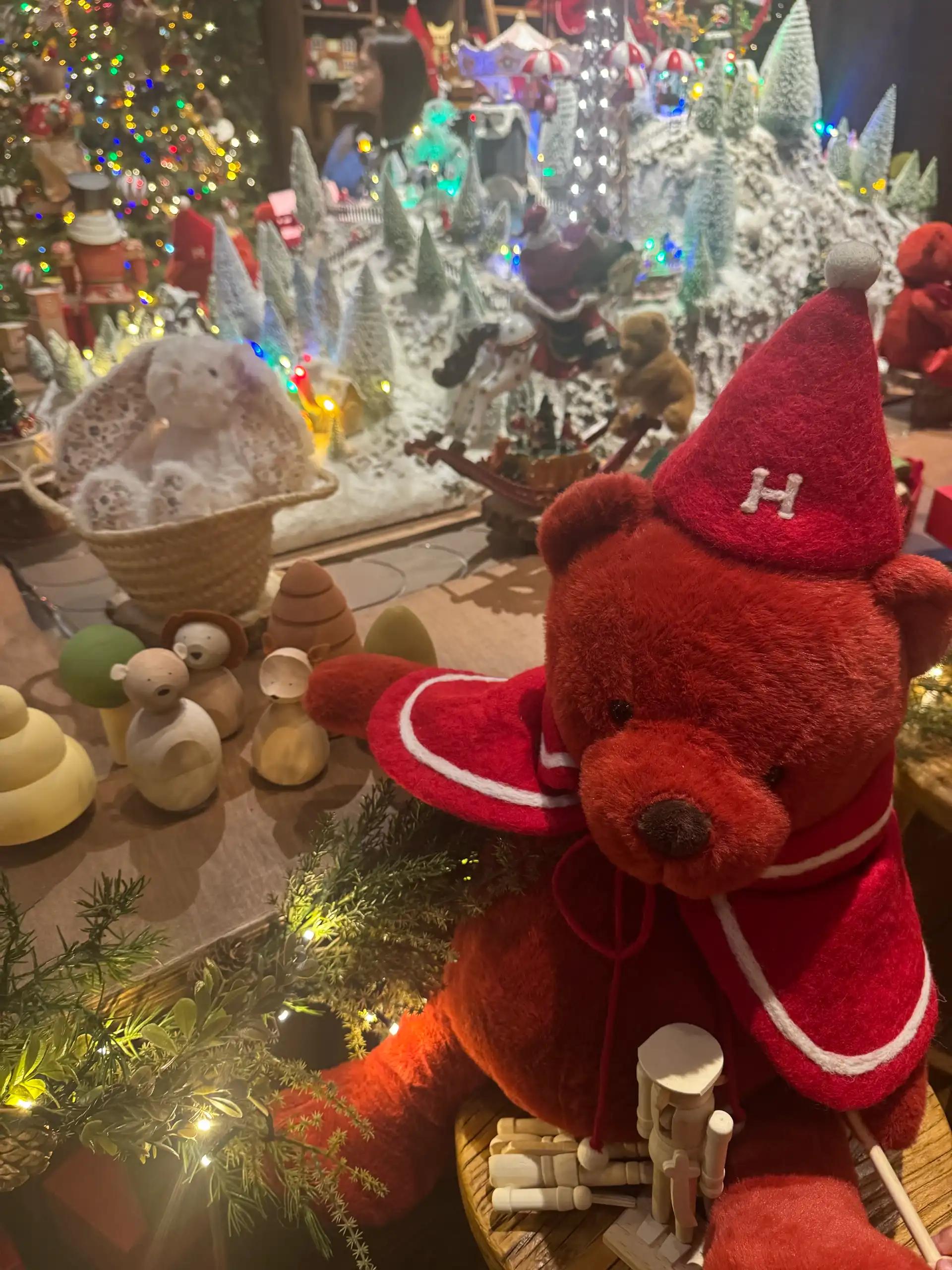 크루톡 이미지 4