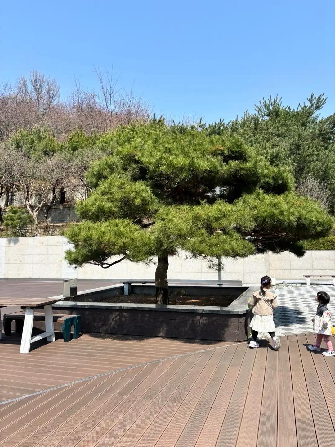 크루톡 이미지 3