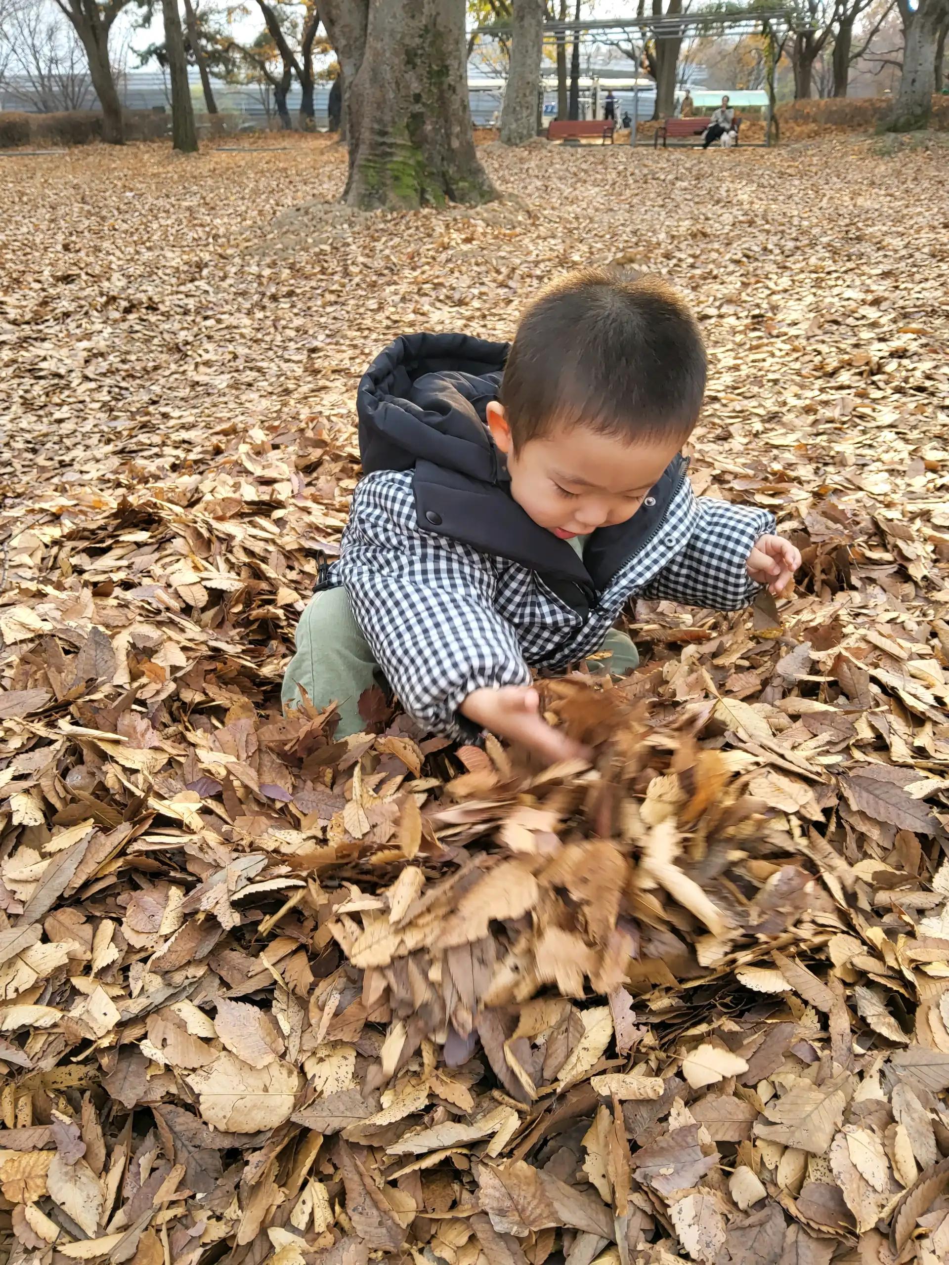 크루톡 이미지 2