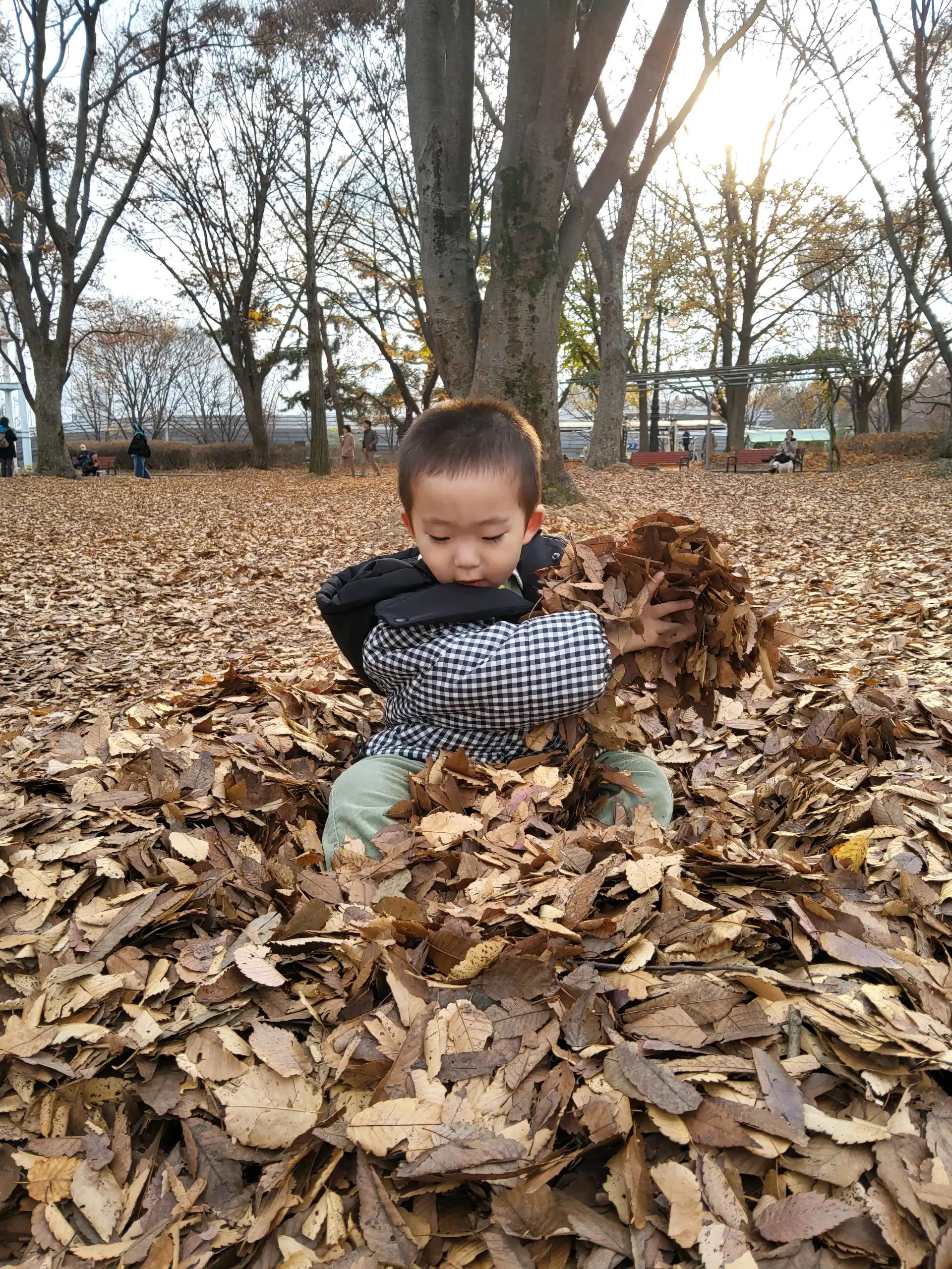 크루톡 이미지 3