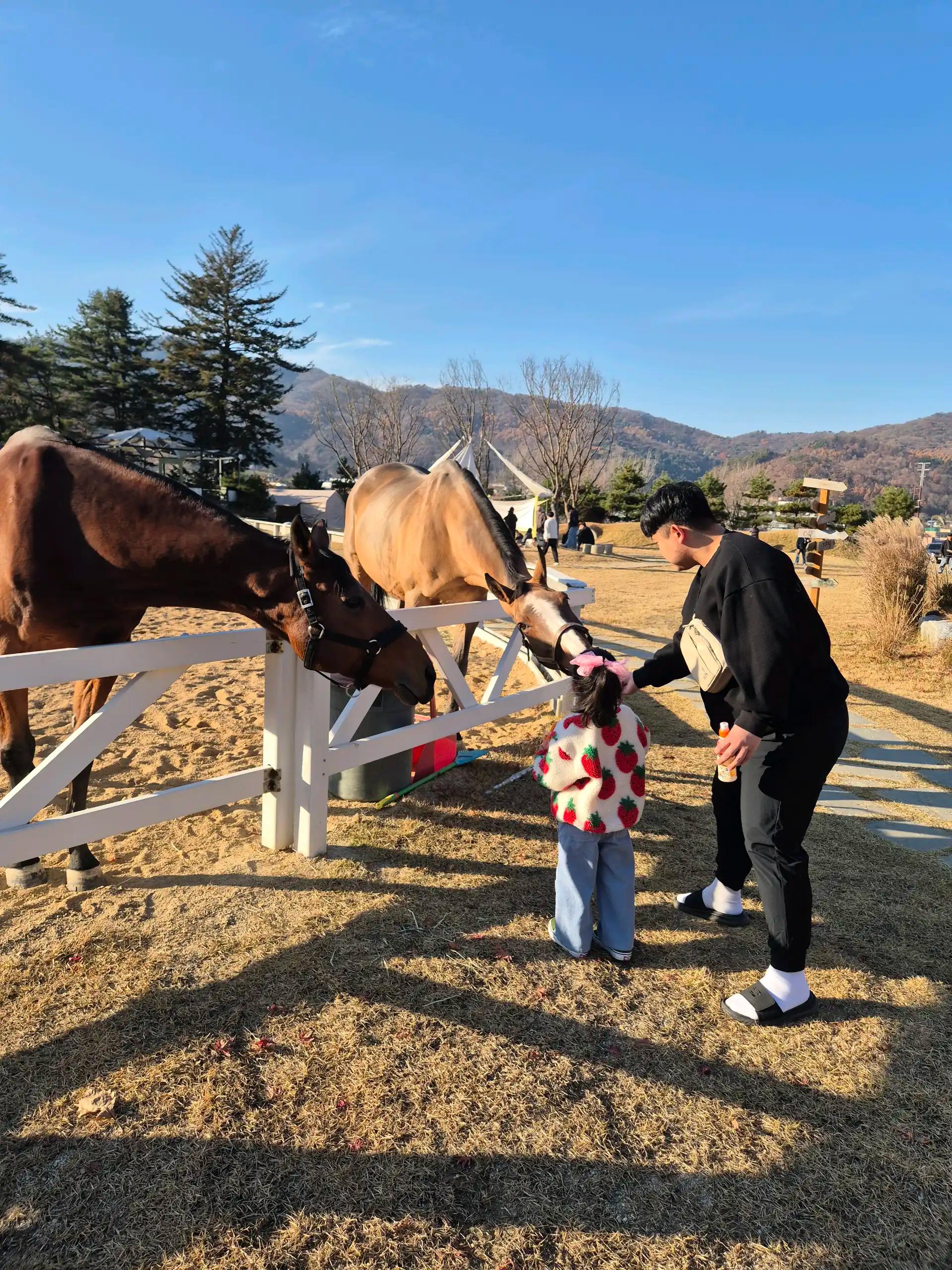 크루톡 이미지 2