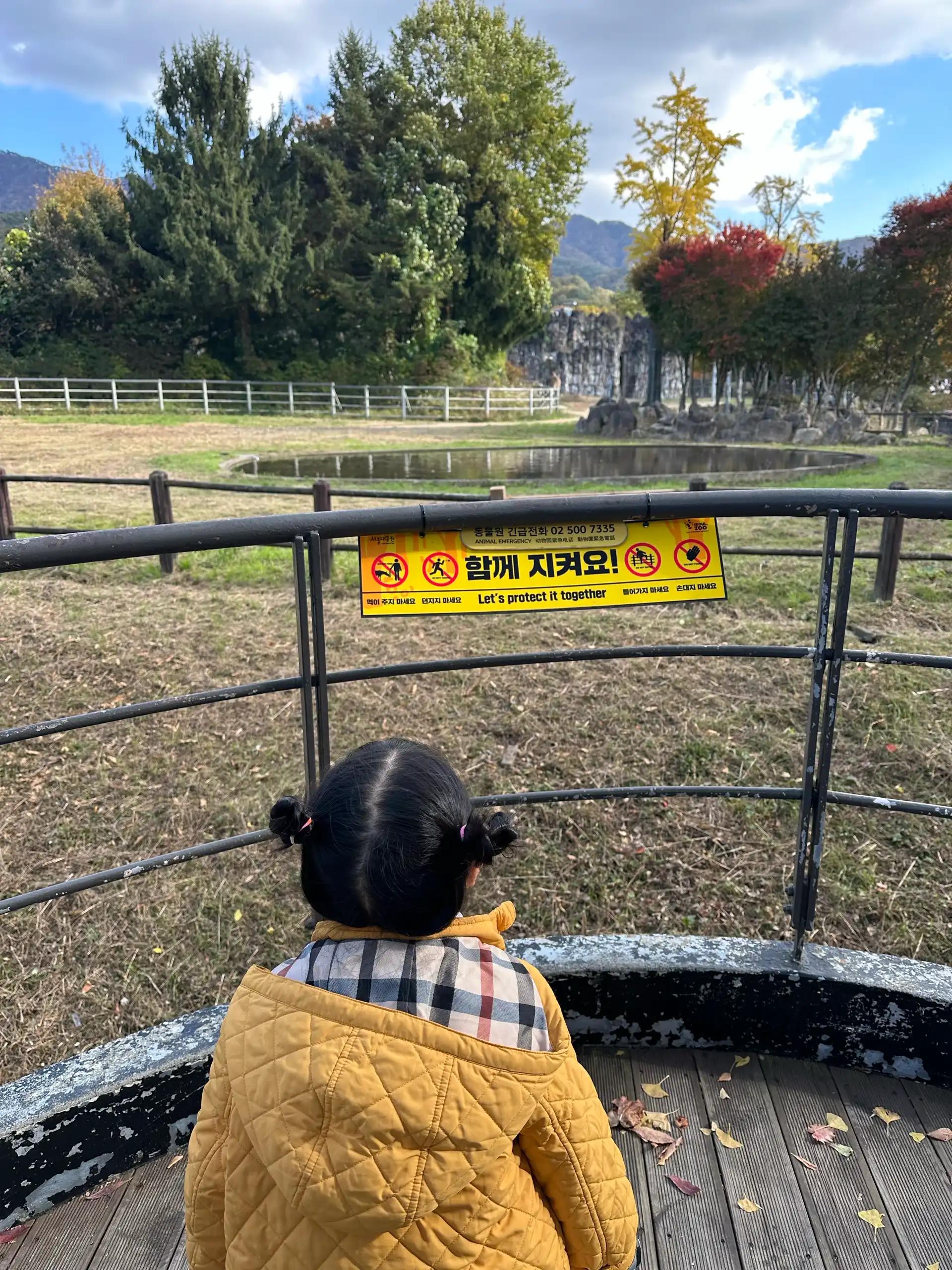 크루톡 이미지 2