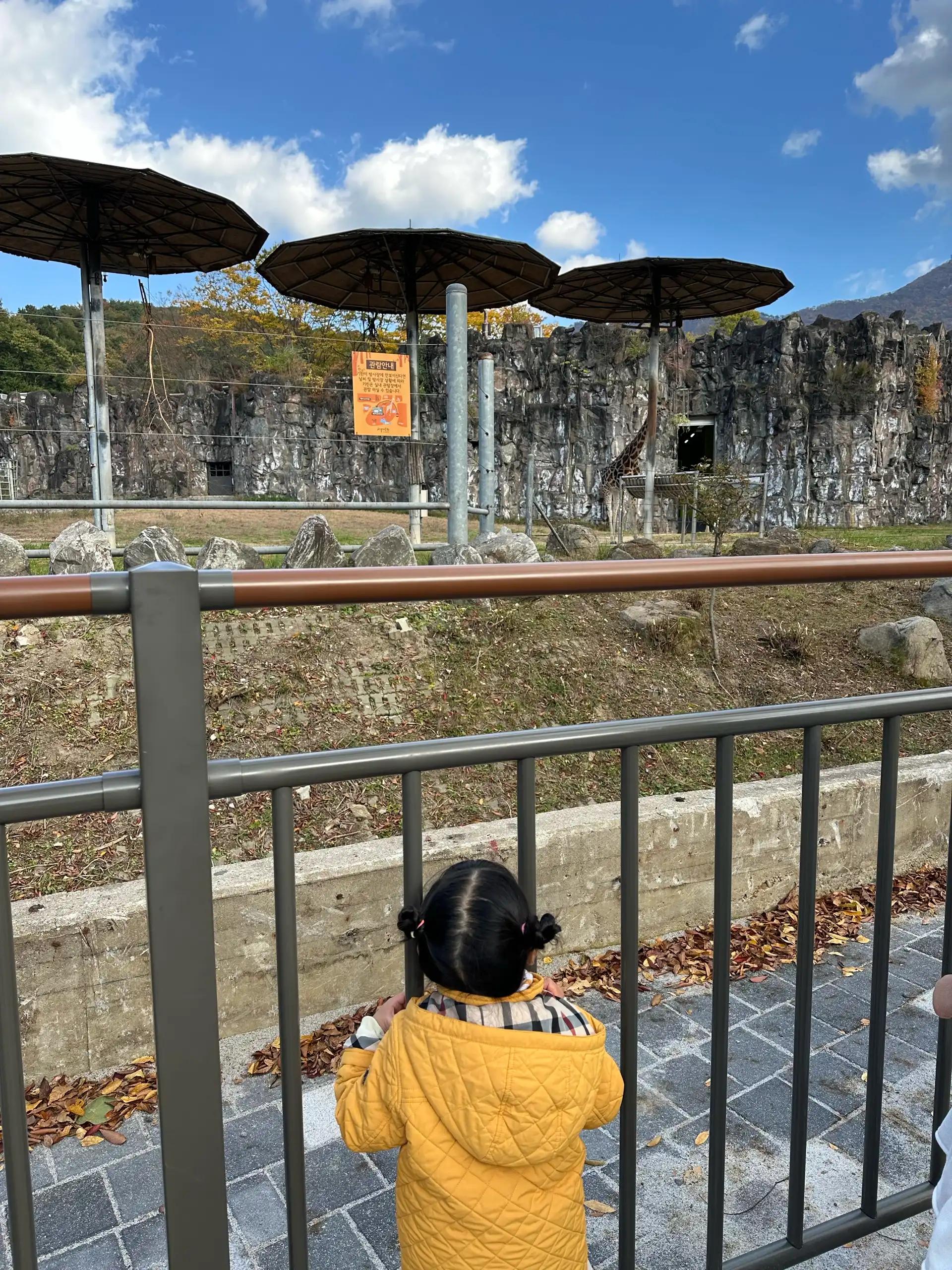 크루톡 이미지 3