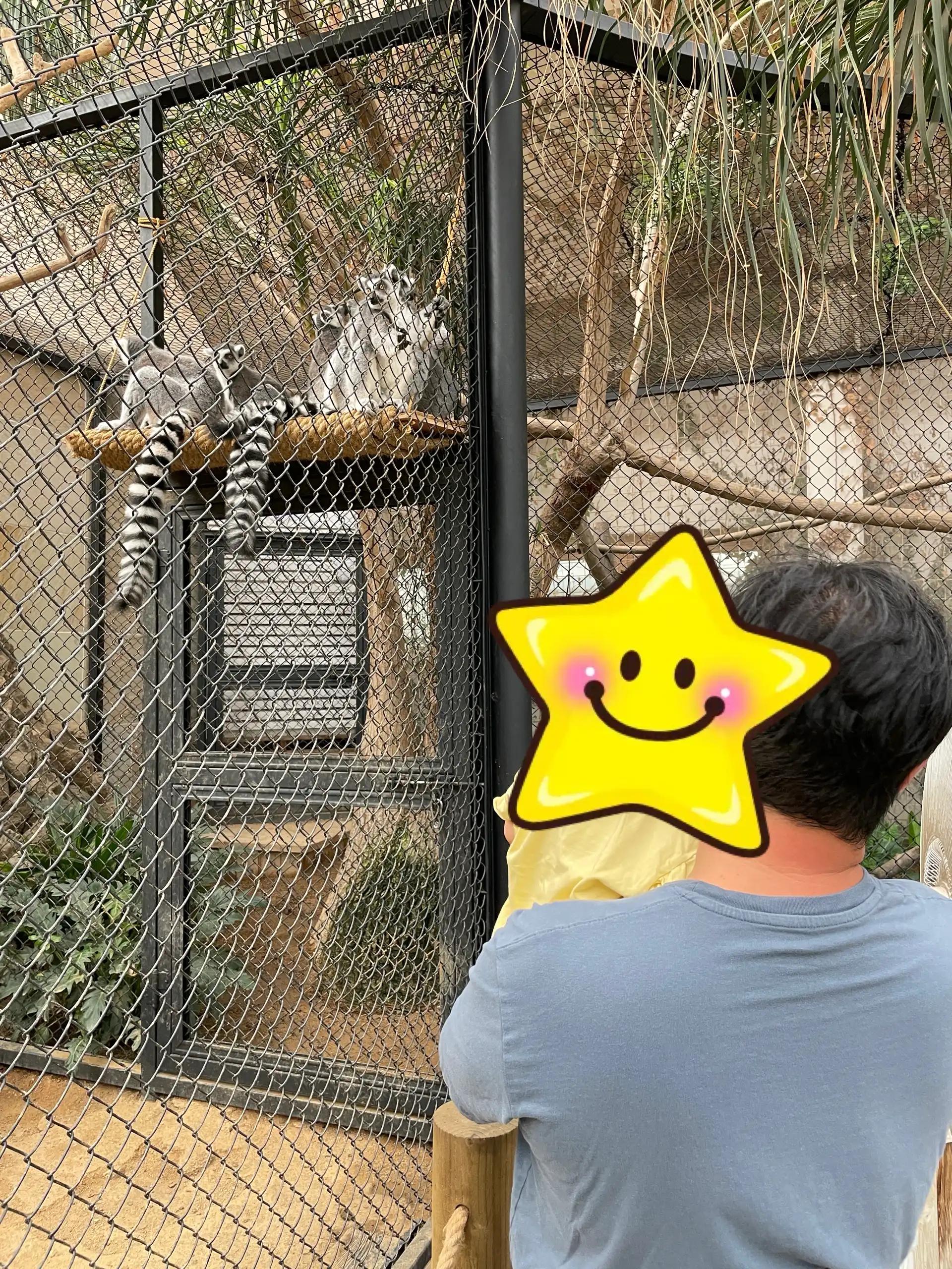 크루톡 이미지 2