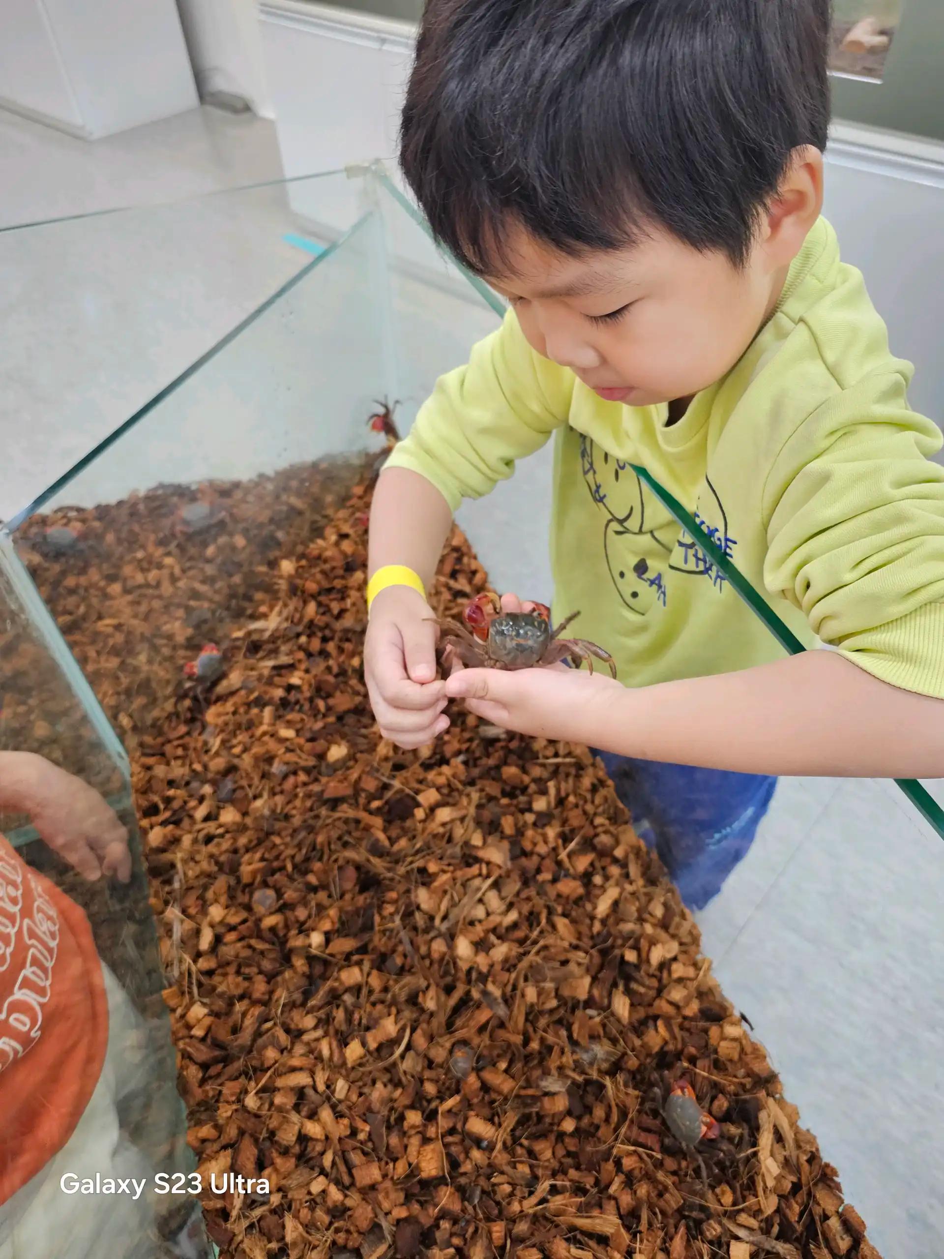 크루톡 이미지 2