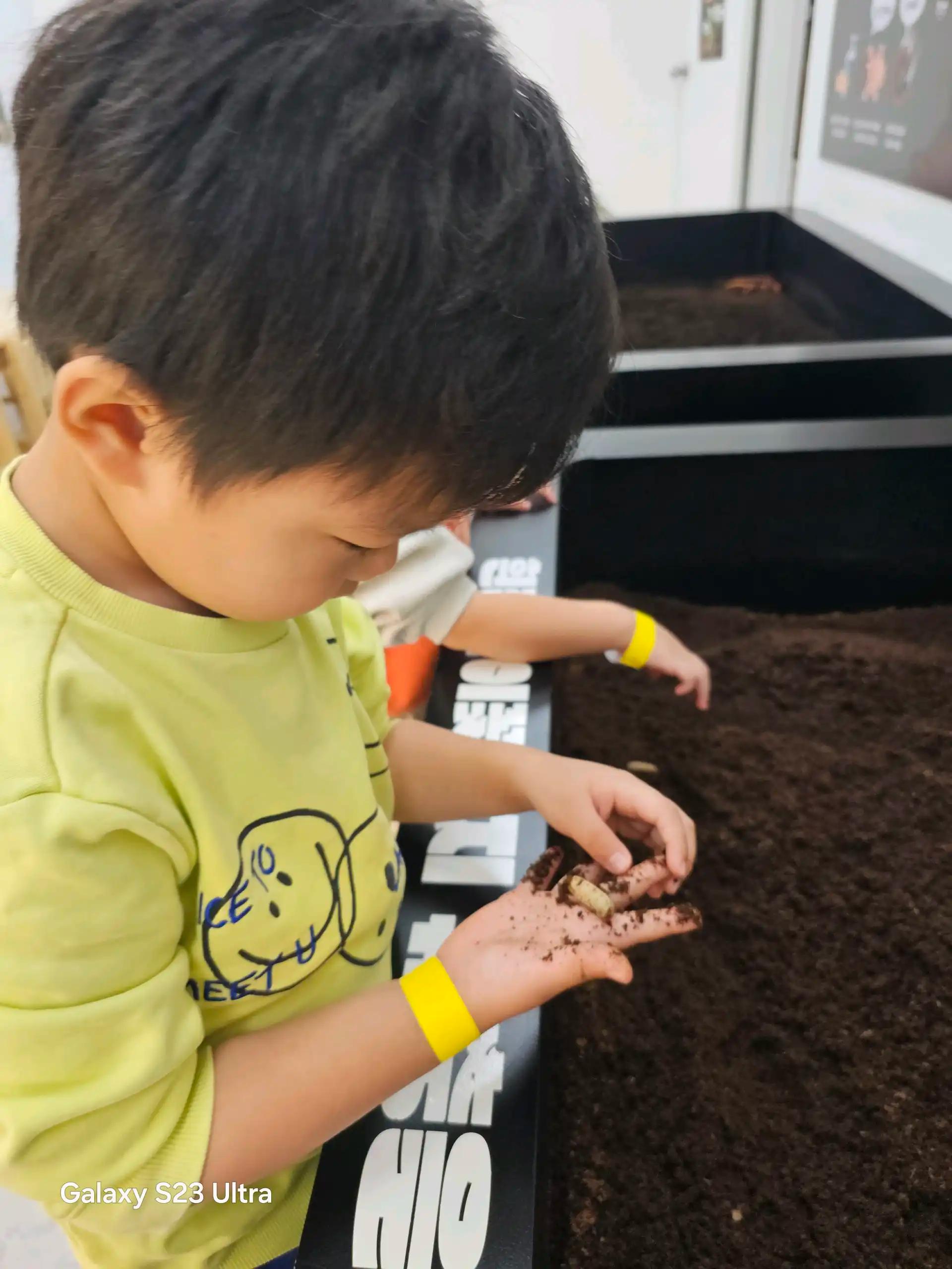 크루톡 이미지 3