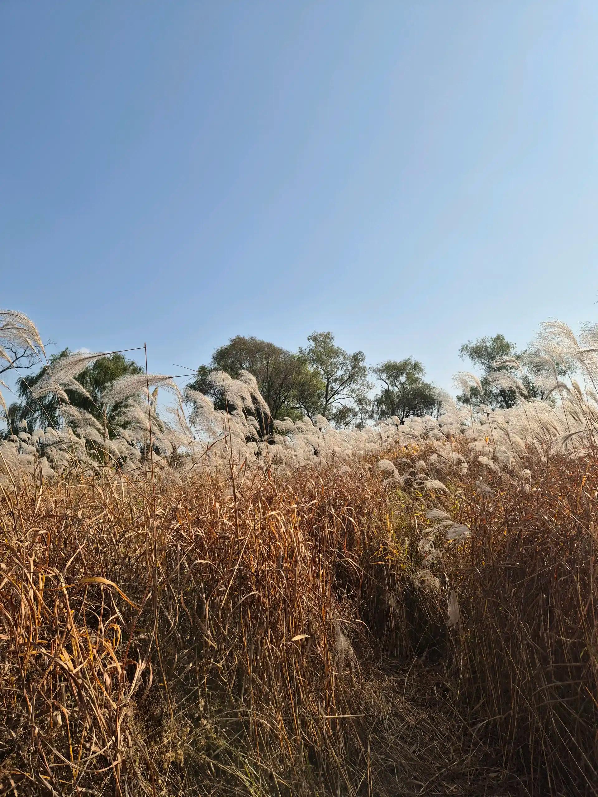 크루톡 이미지 2