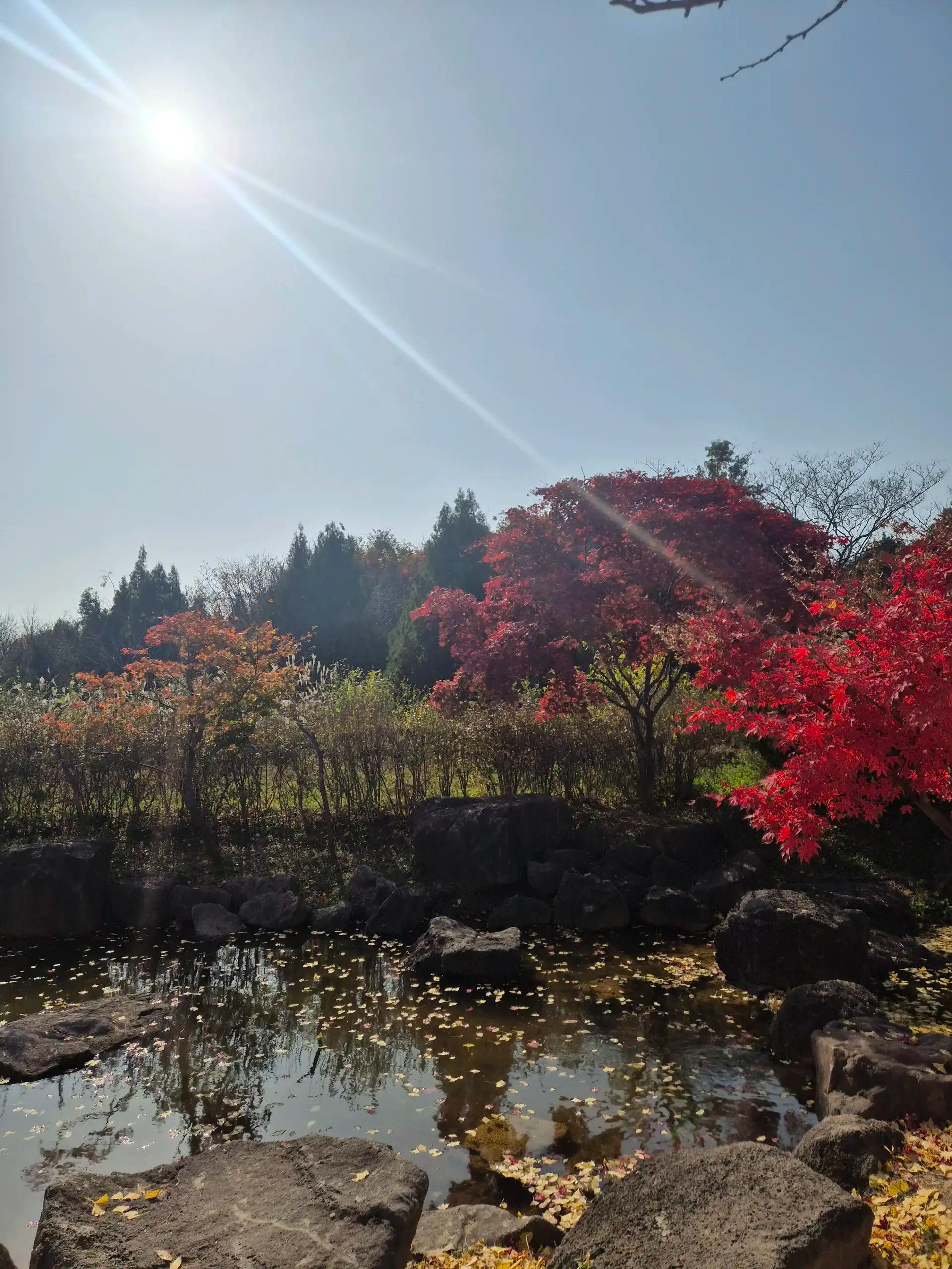 크루톡 이미지 3