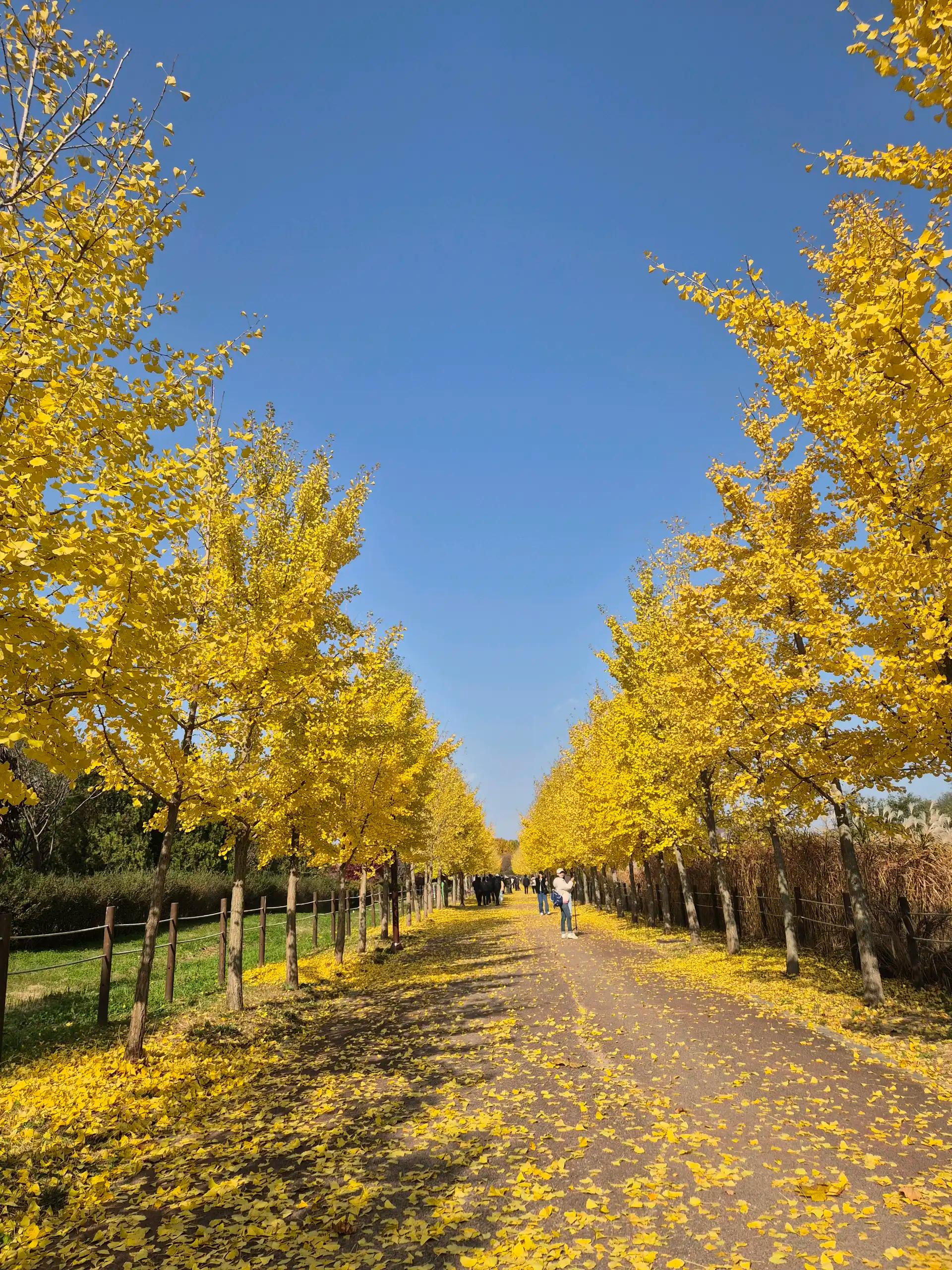 크루톡 이미지 4