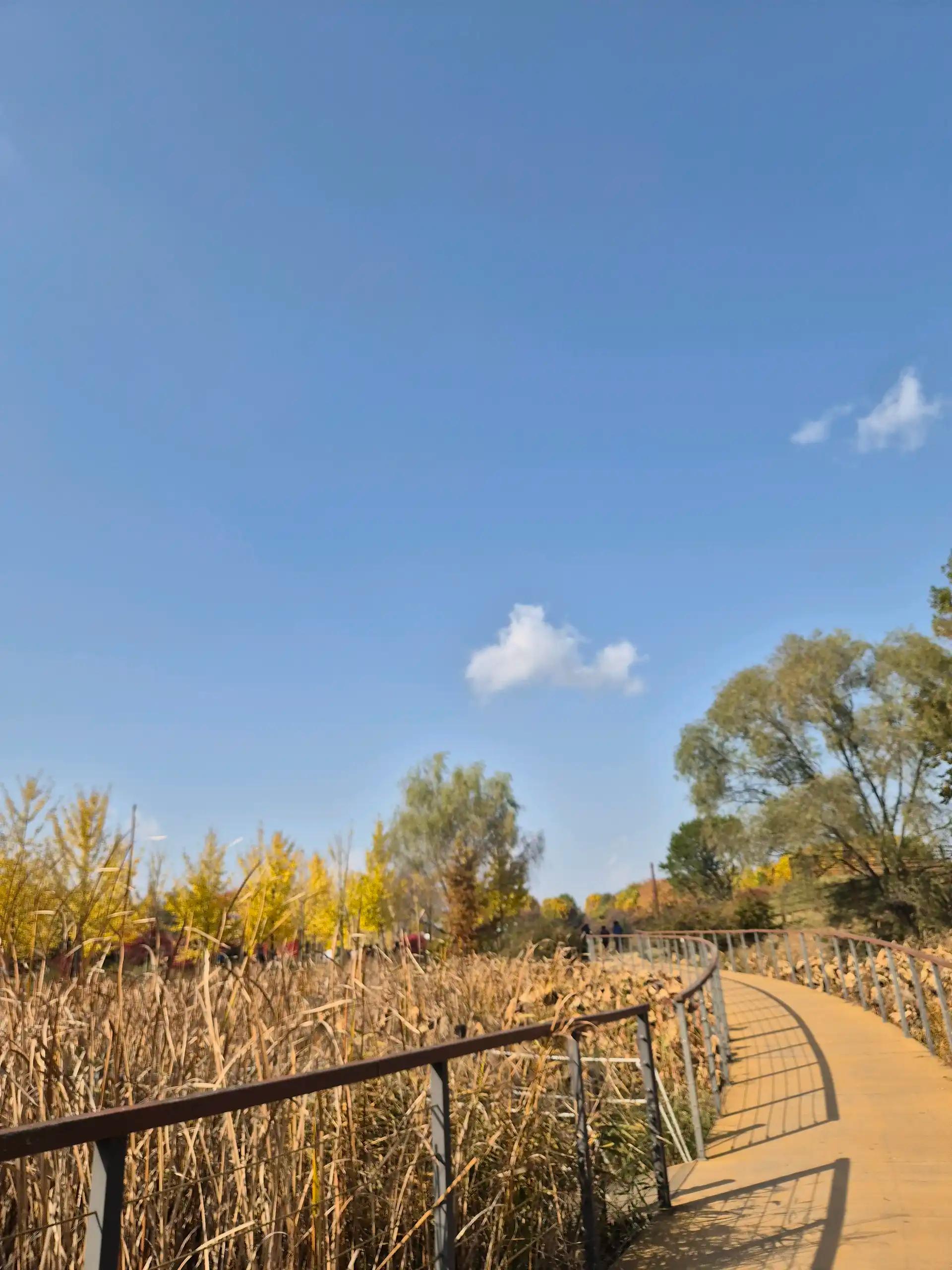 크루톡 이미지 5