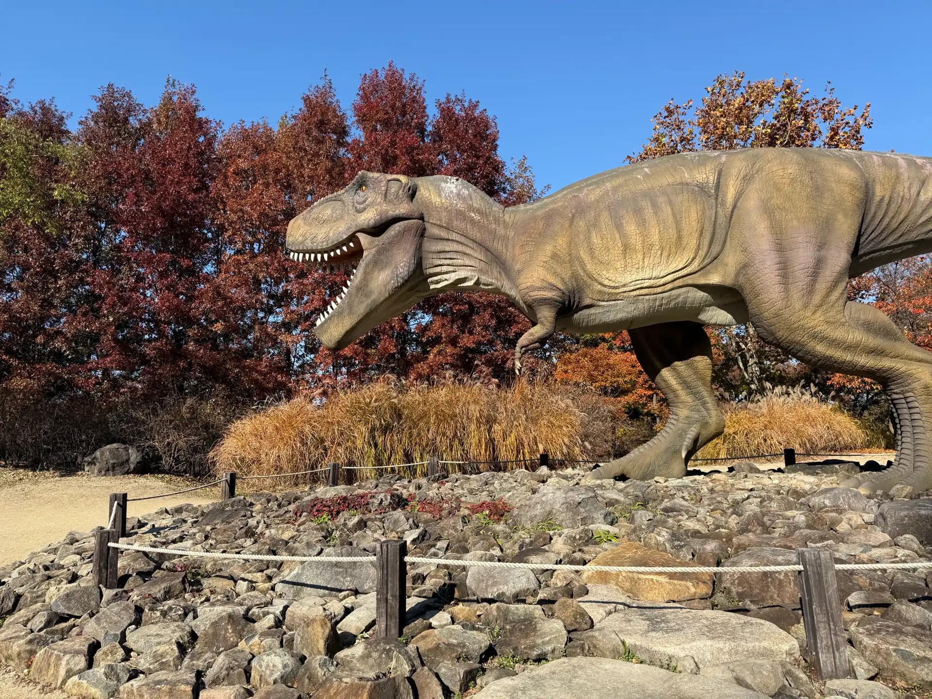 크루톡 이미지 3