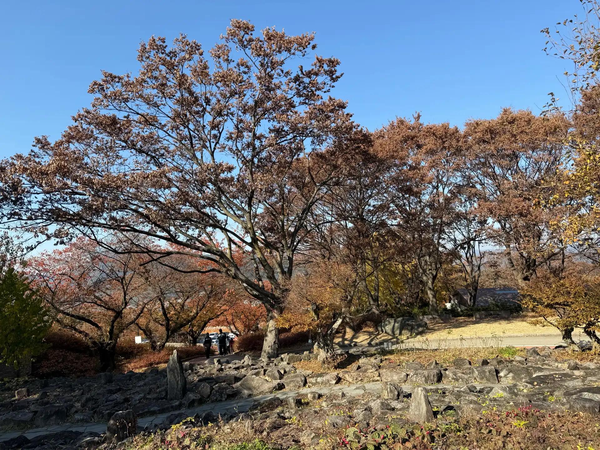 크루톡 이미지 4