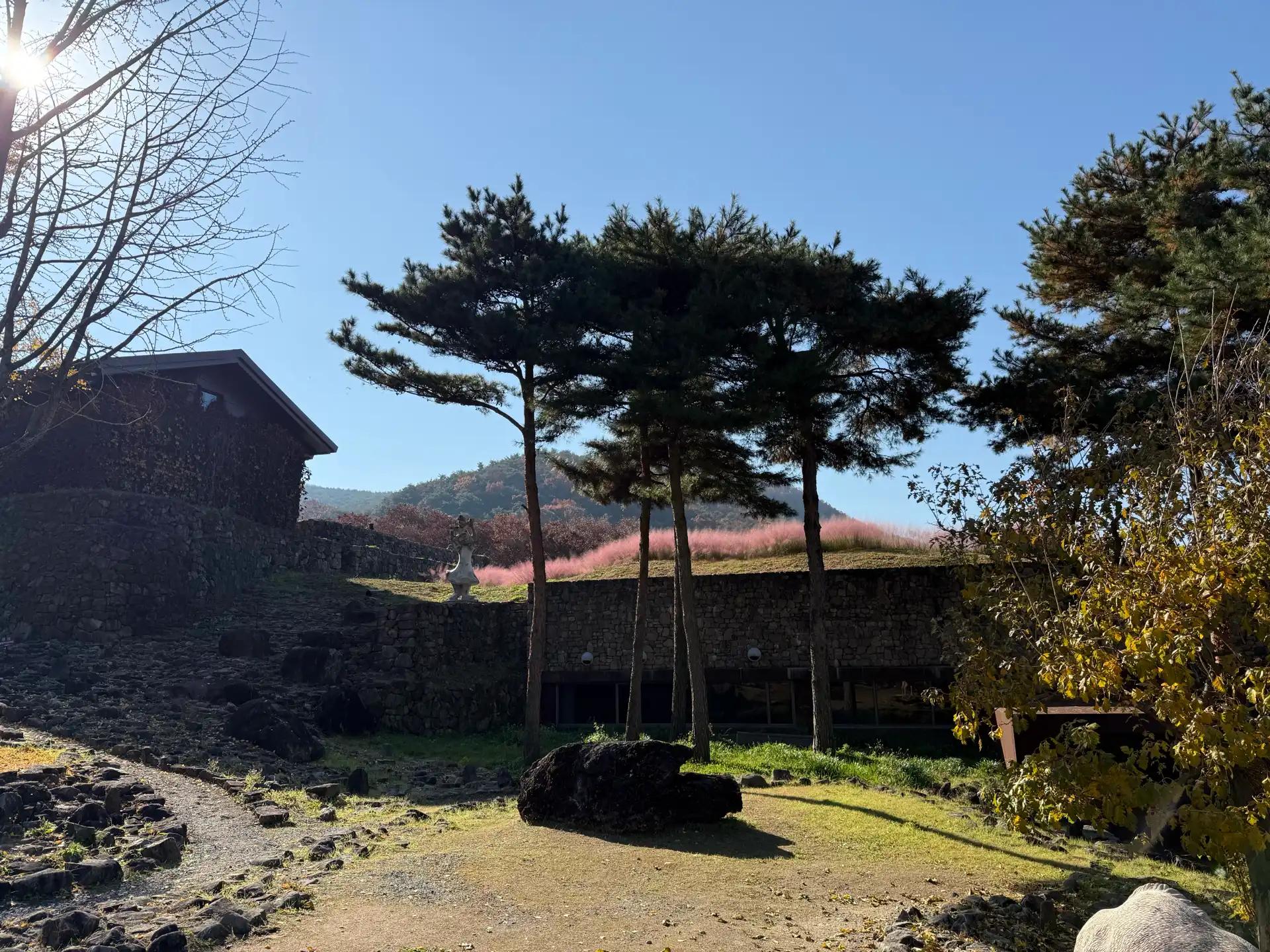 크루톡 이미지 5