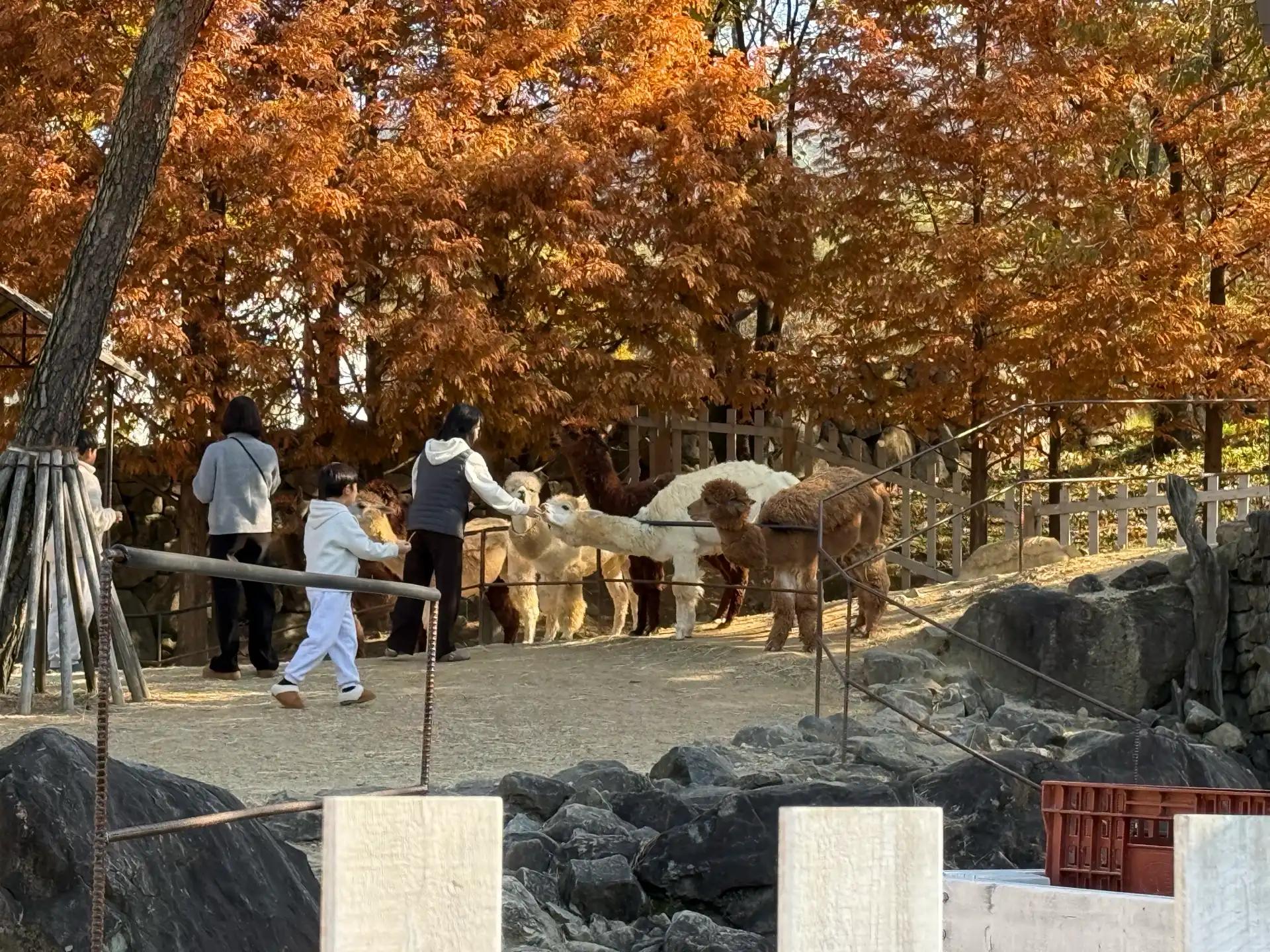 크루톡 이미지 6