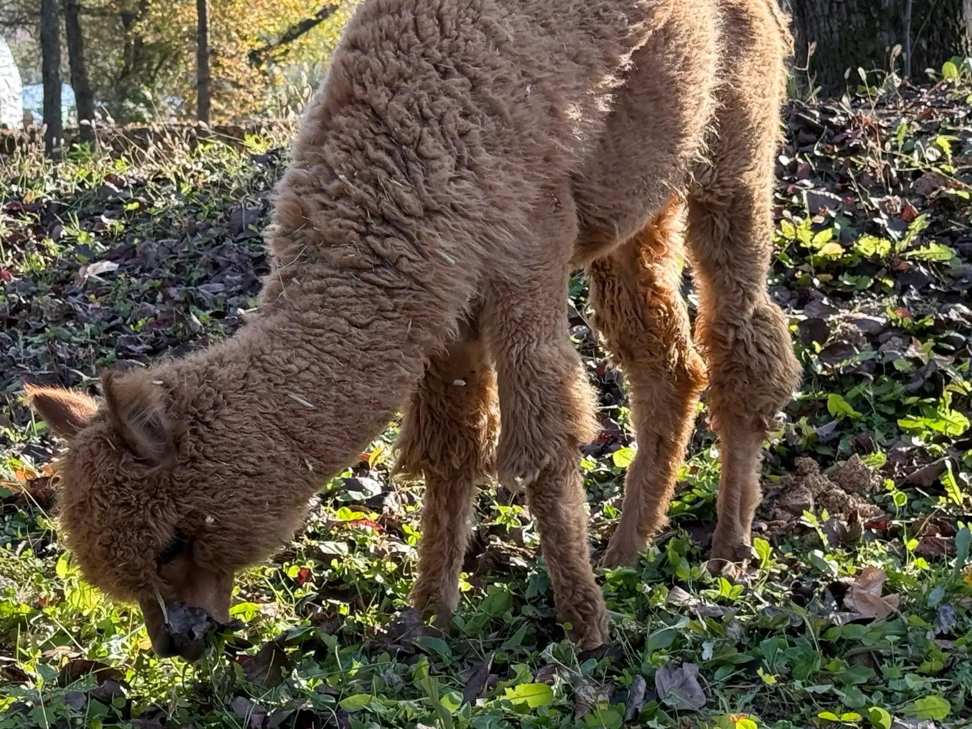 크루톡 이미지 7