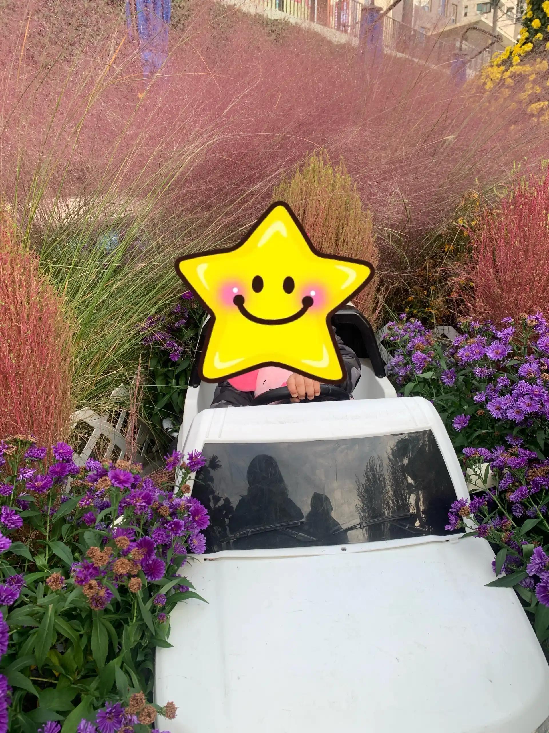 크루톡 이미지 2