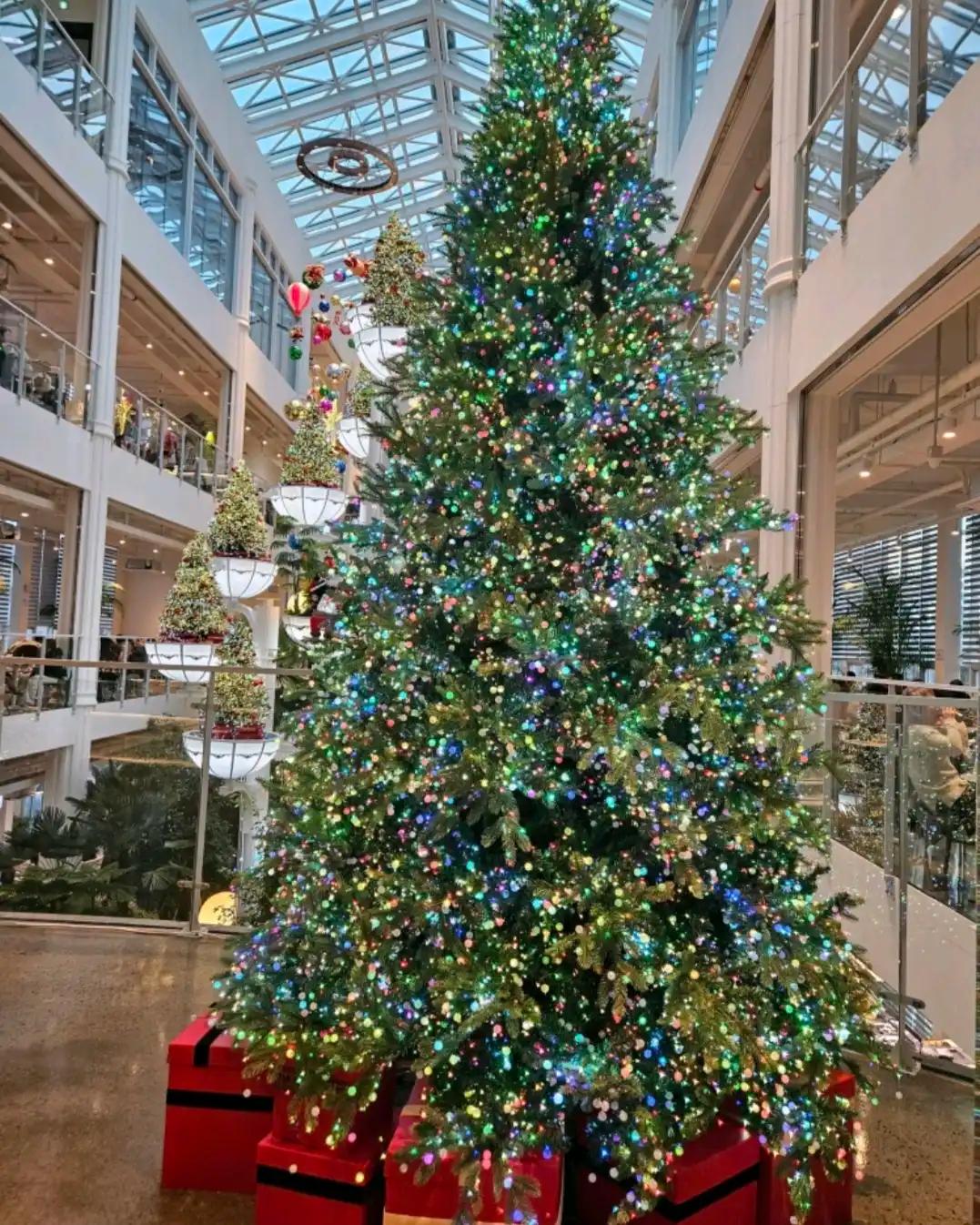 크루톡 이미지 2