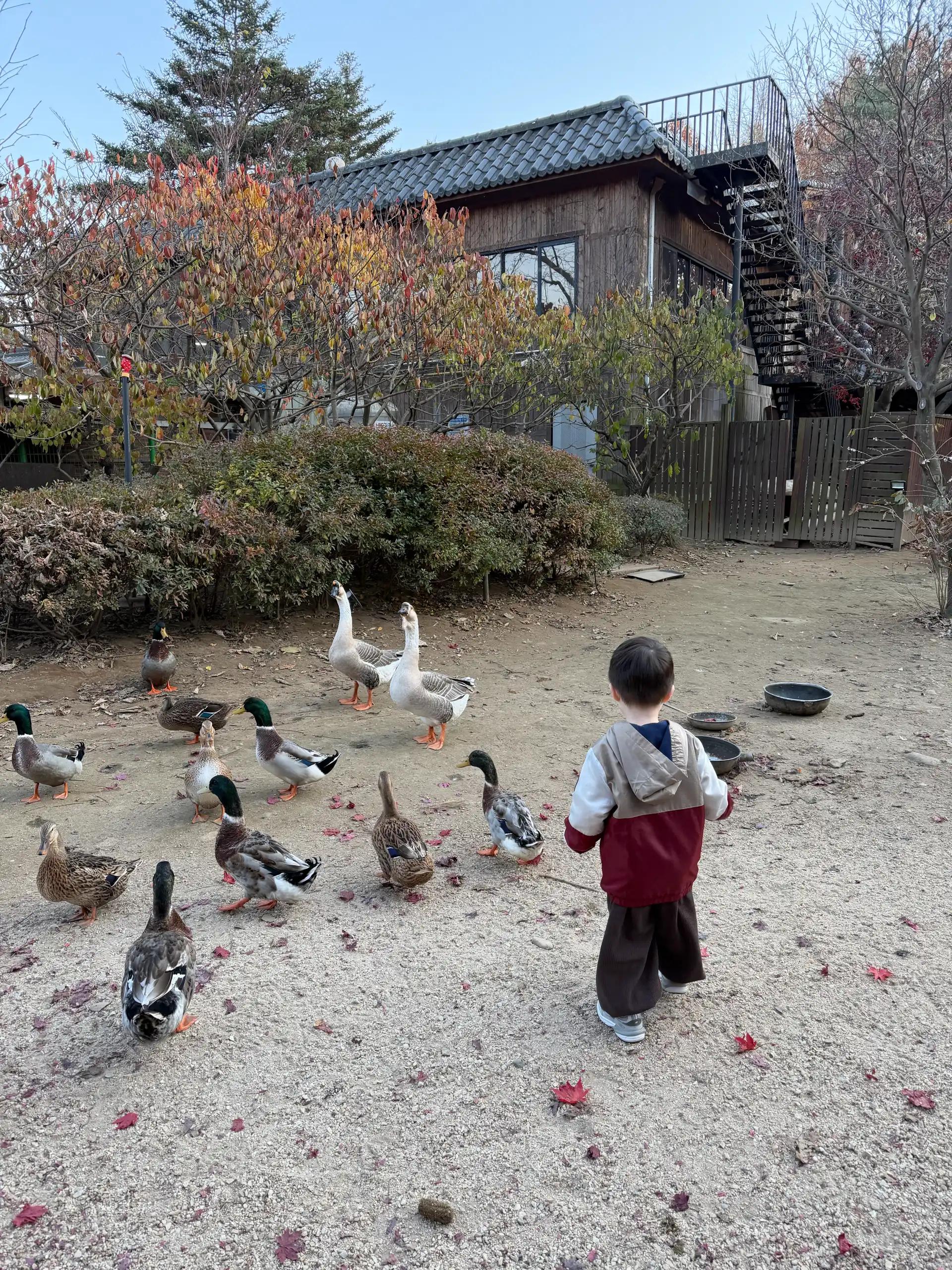 크루톡 이미지 2