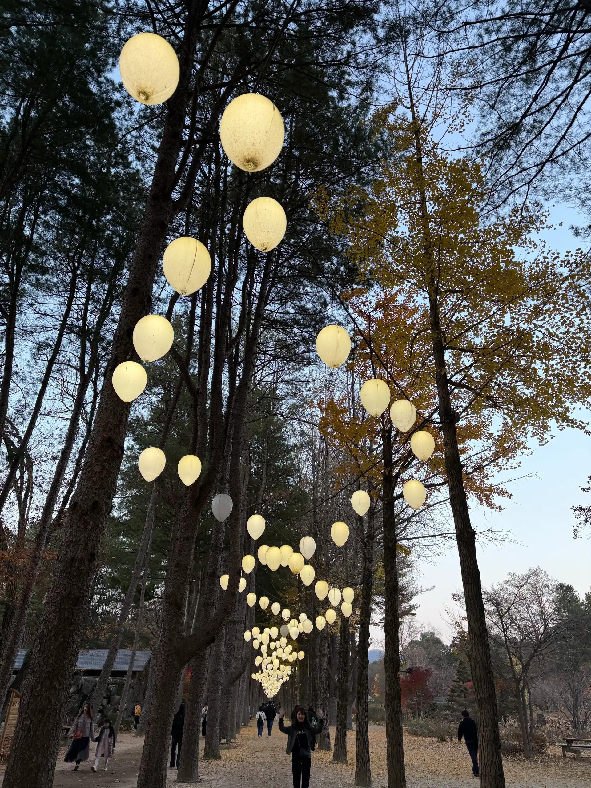 크루톡 이미지 3