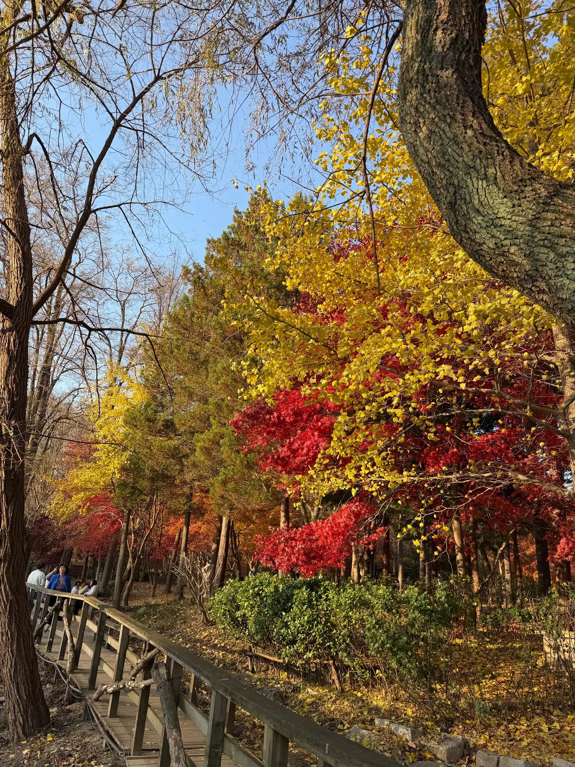 크루톡 이미지 4