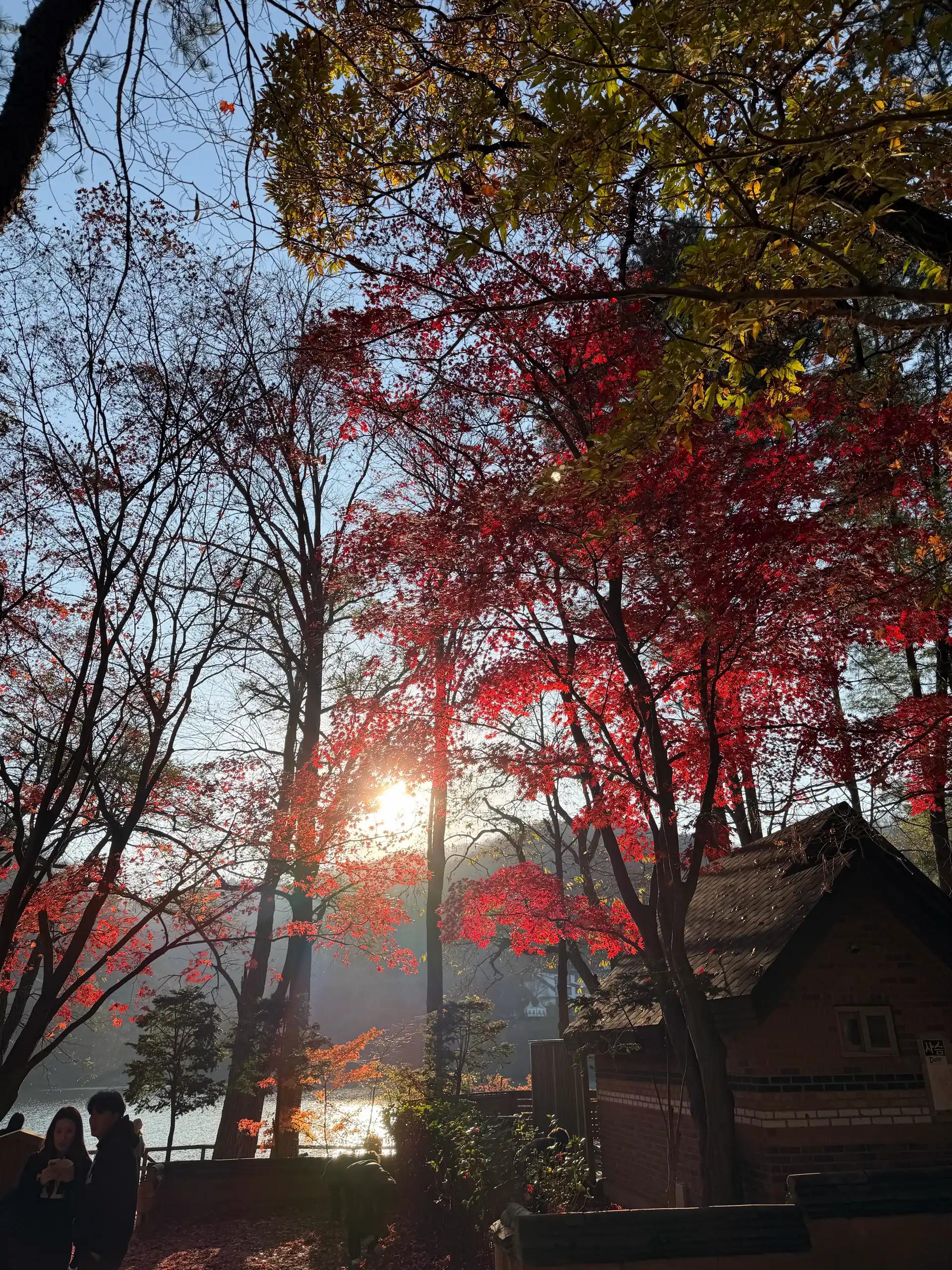 크루톡 이미지 5