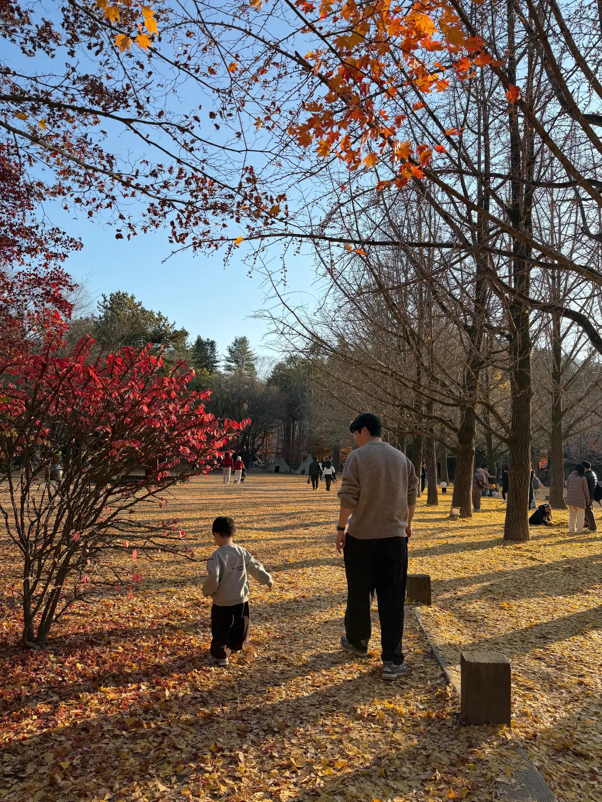 크루톡 이미지 6