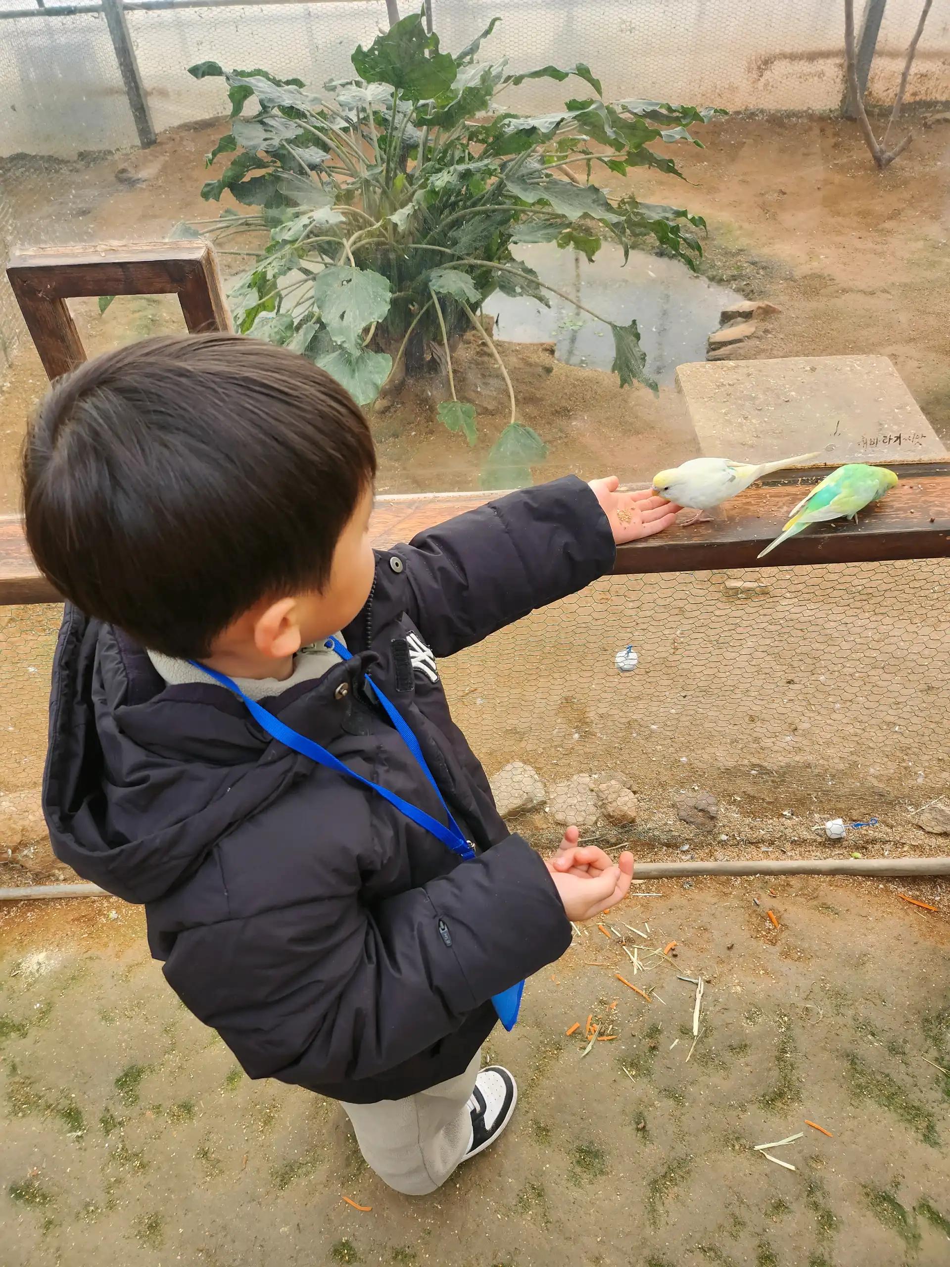 크루톡 이미지 2