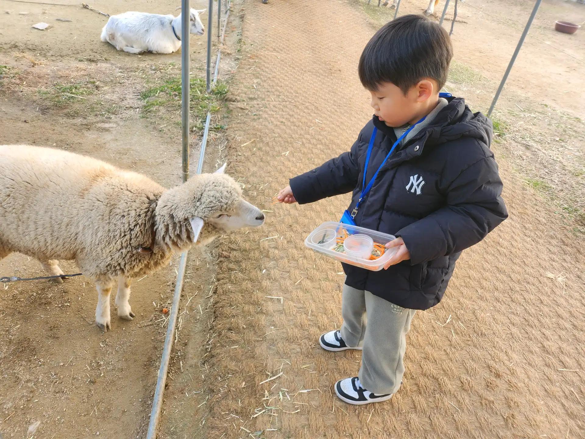 크루톡 이미지 3