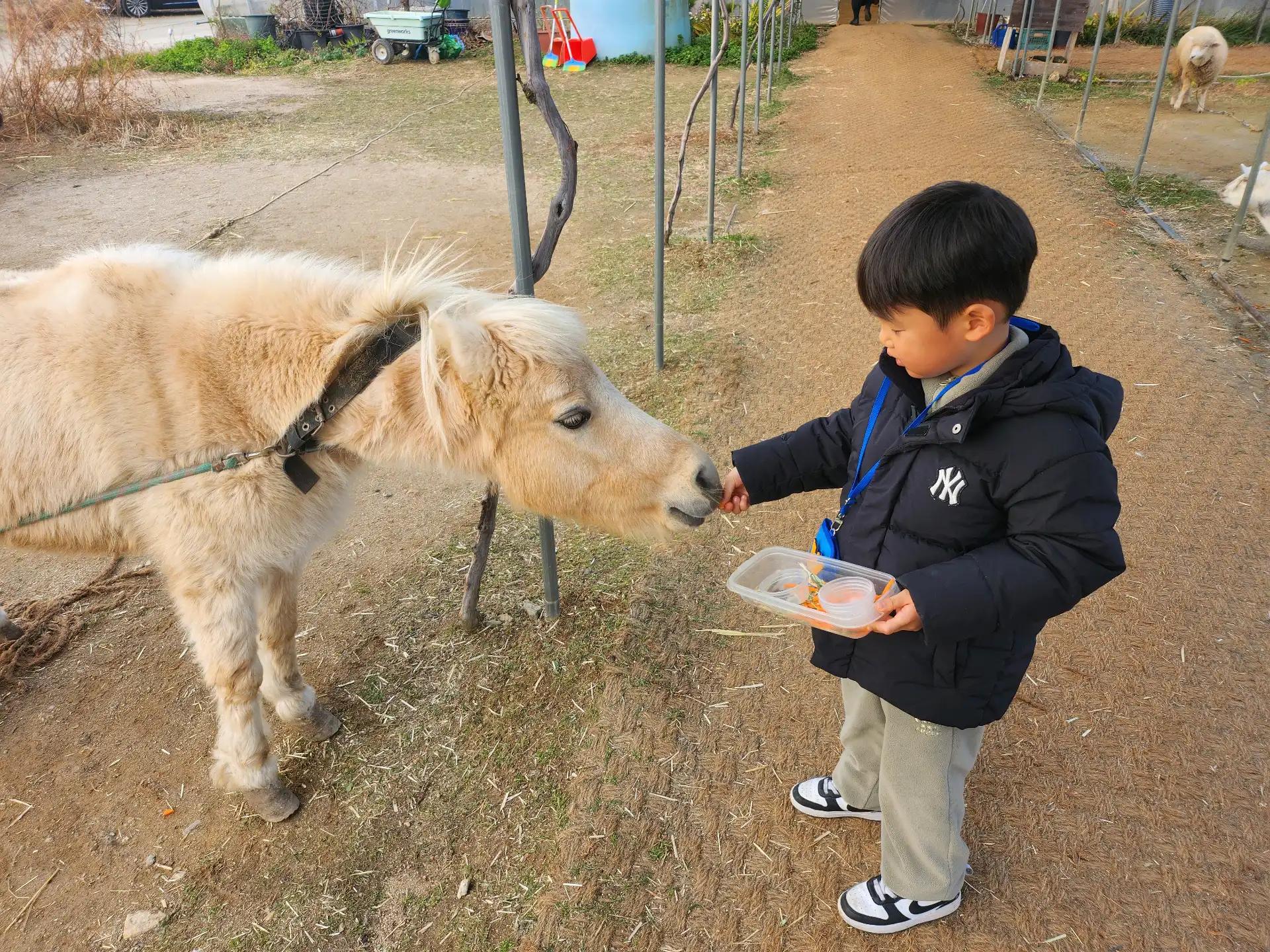 크루톡 이미지 4