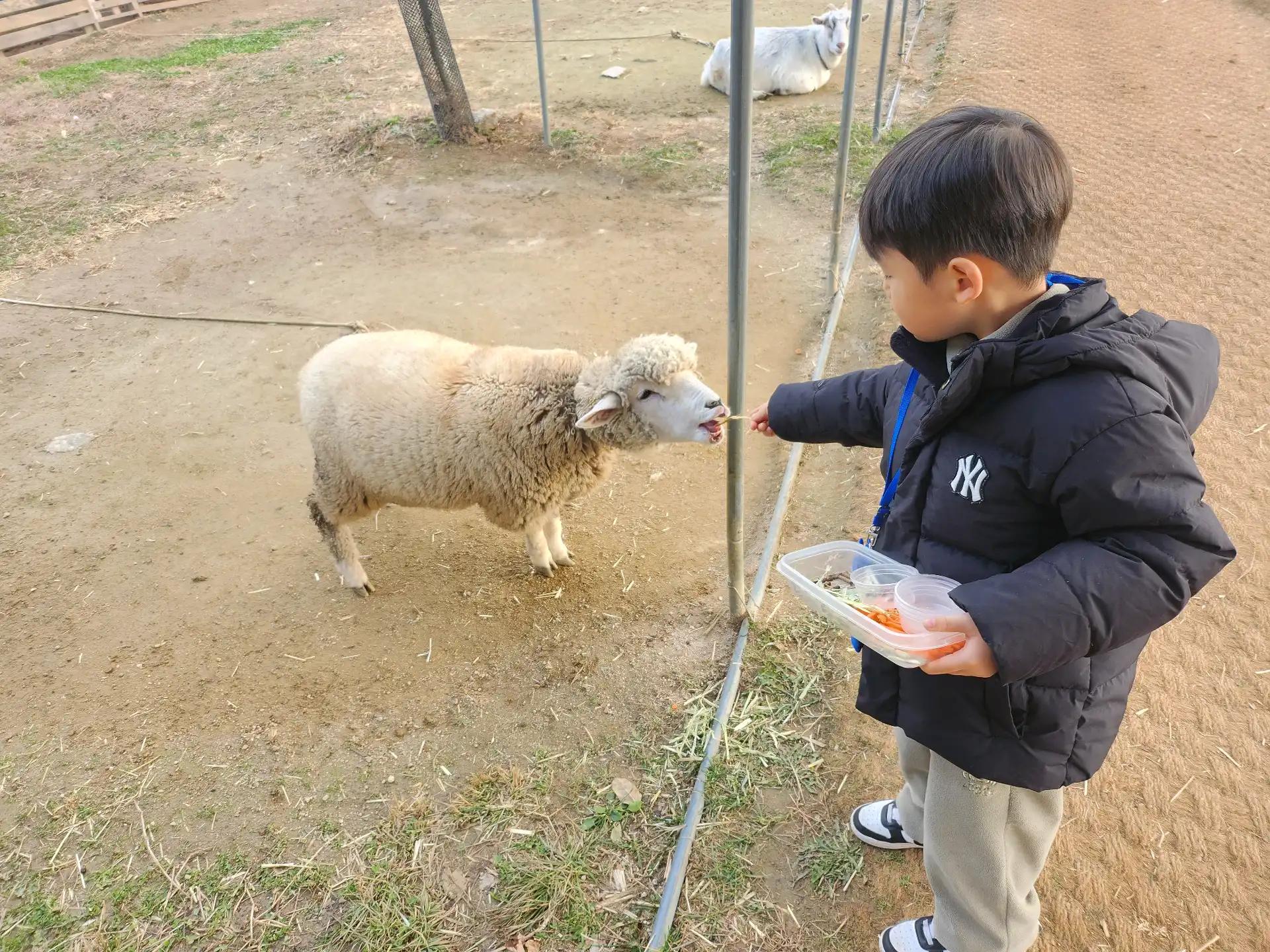 크루톡 이미지 5