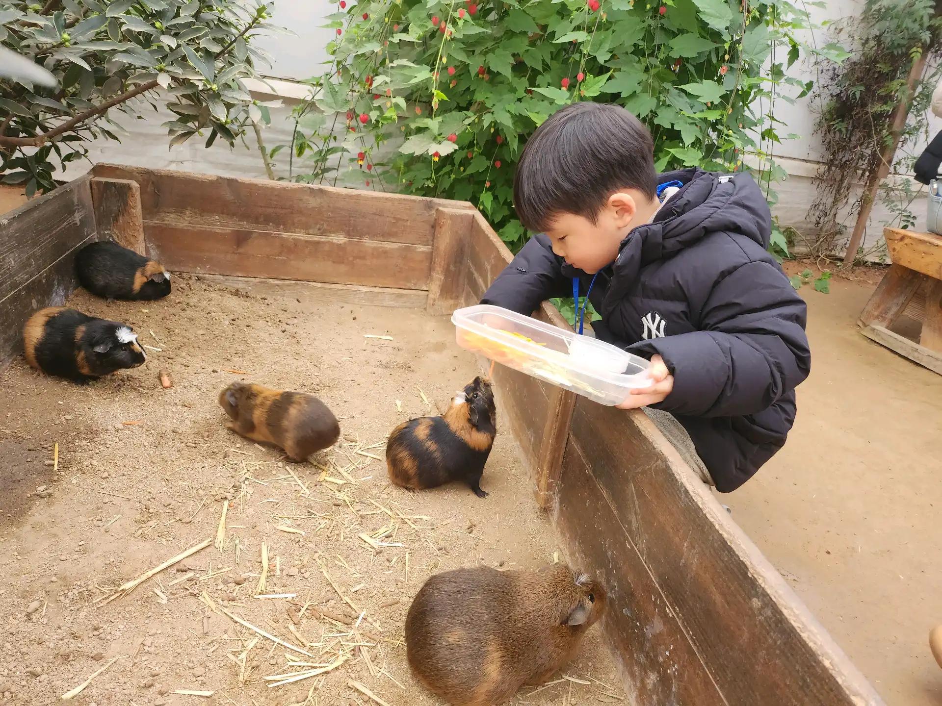 크루톡 이미지 6