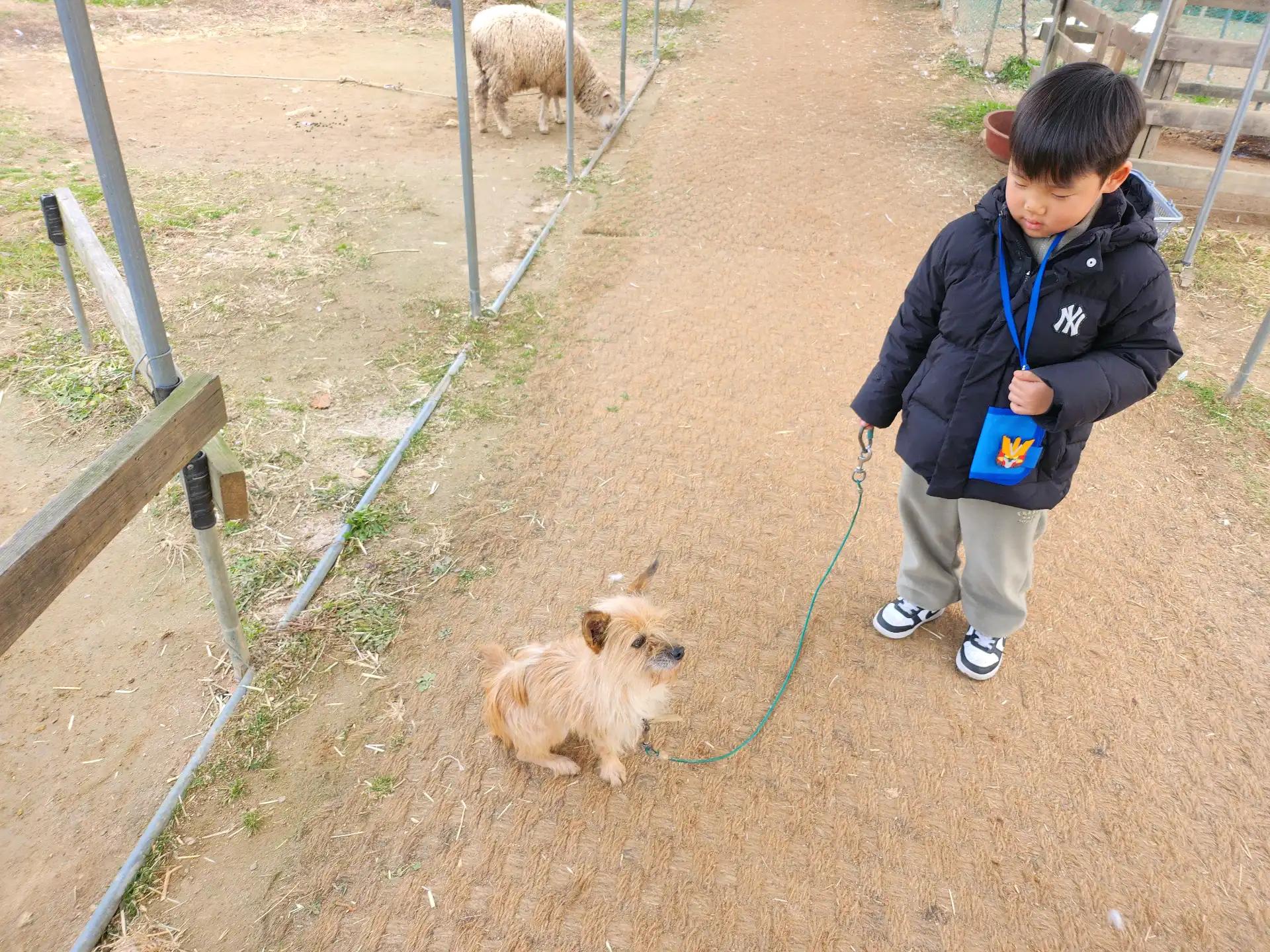 크루톡 이미지 7