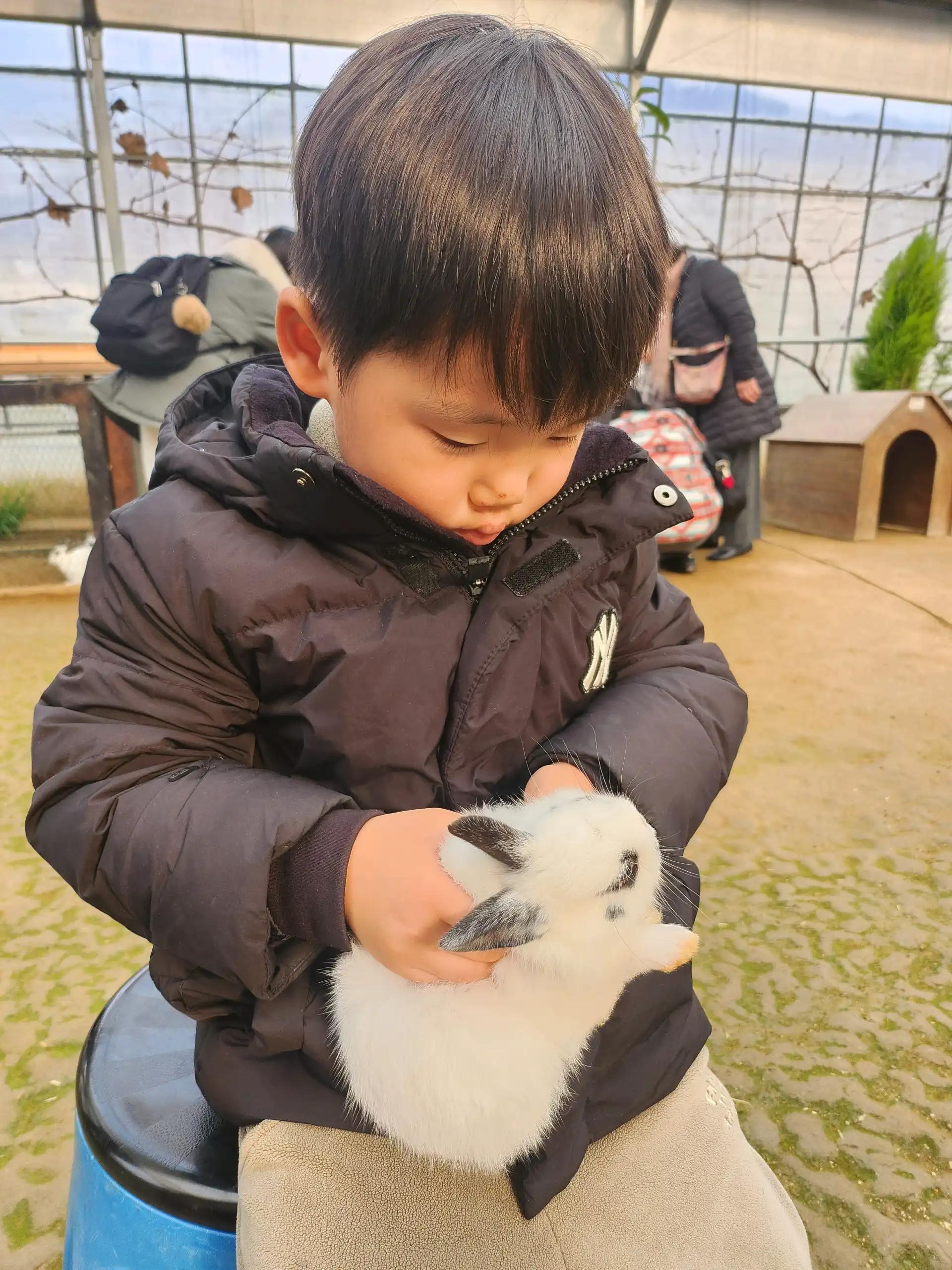 크루톡 이미지 8