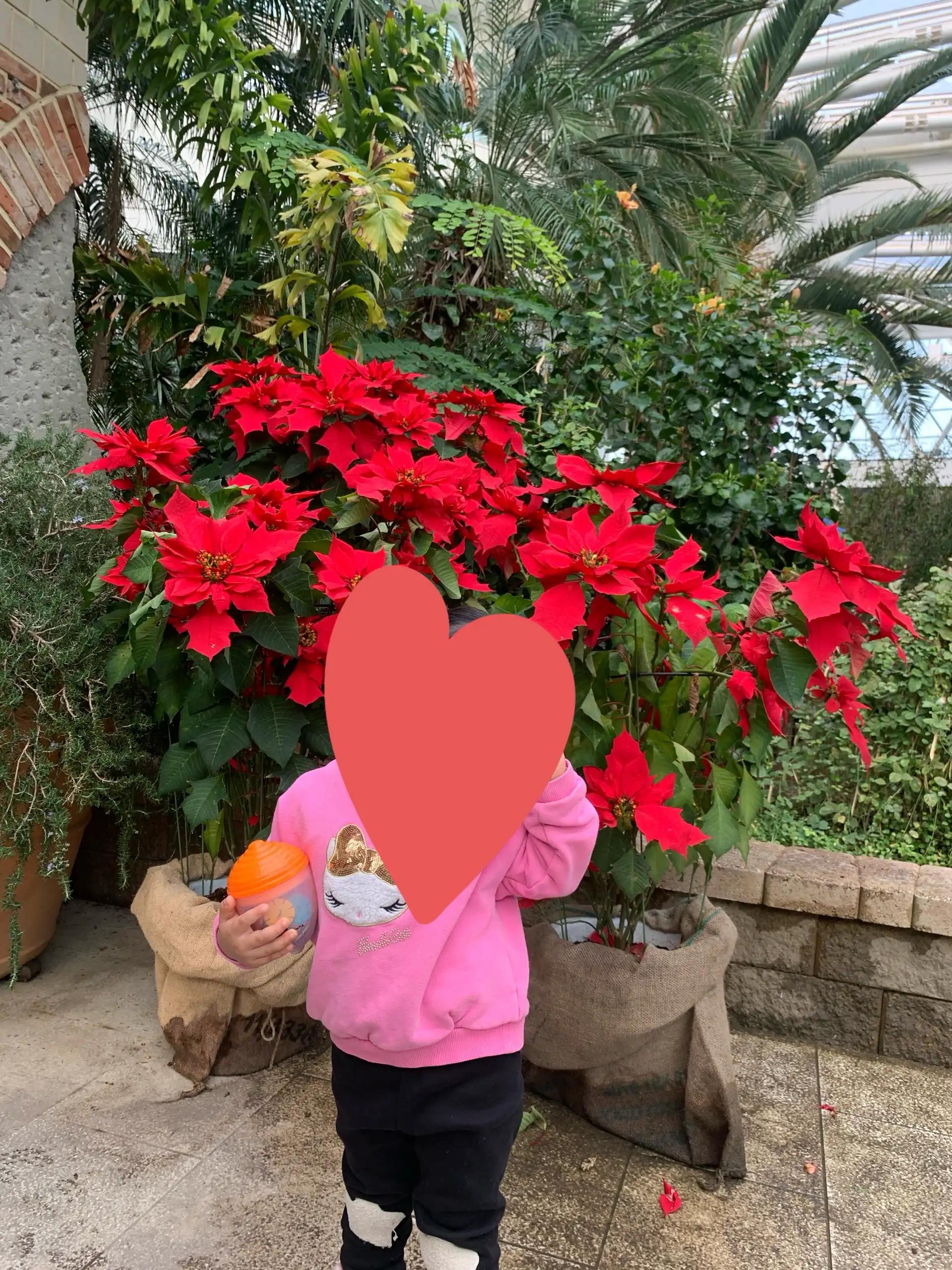 크루톡 이미지 3