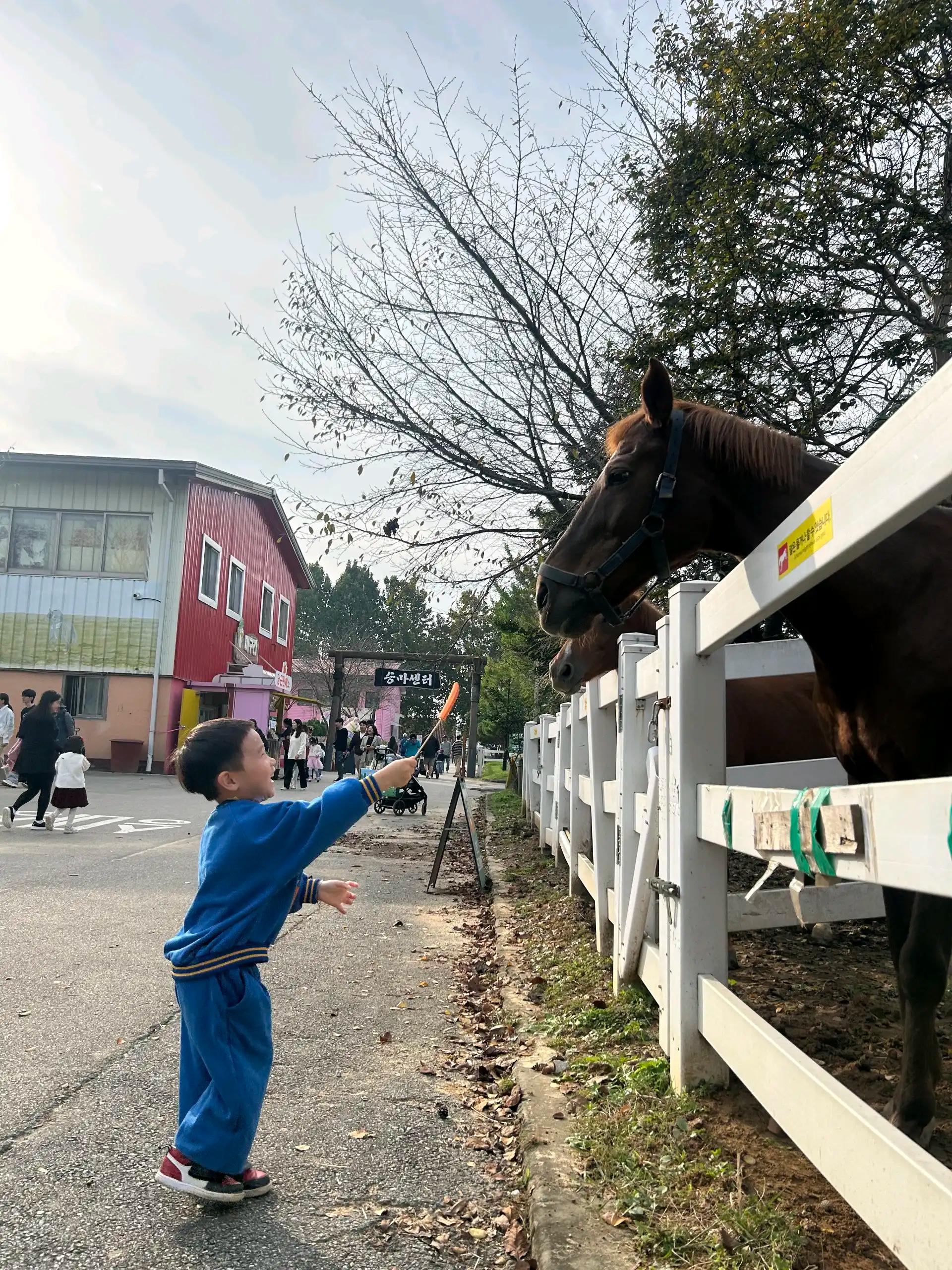 크루톡 이미지 2