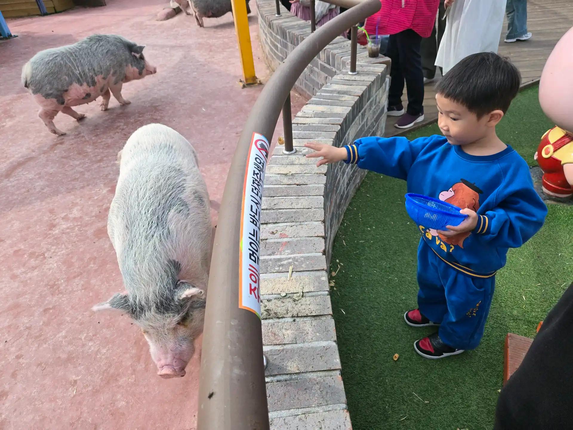 크루톡 이미지 3