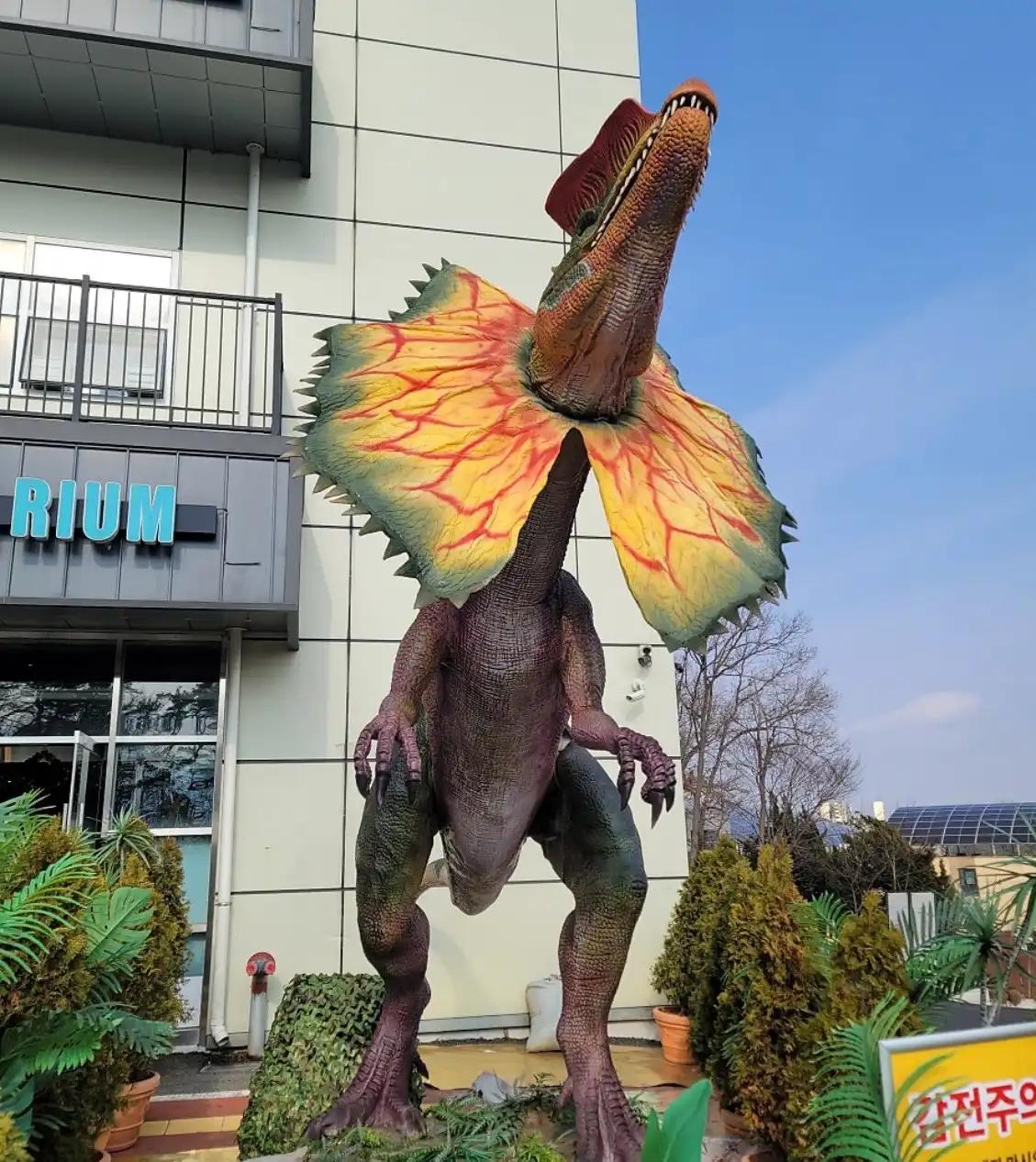 크루톡 이미지 2