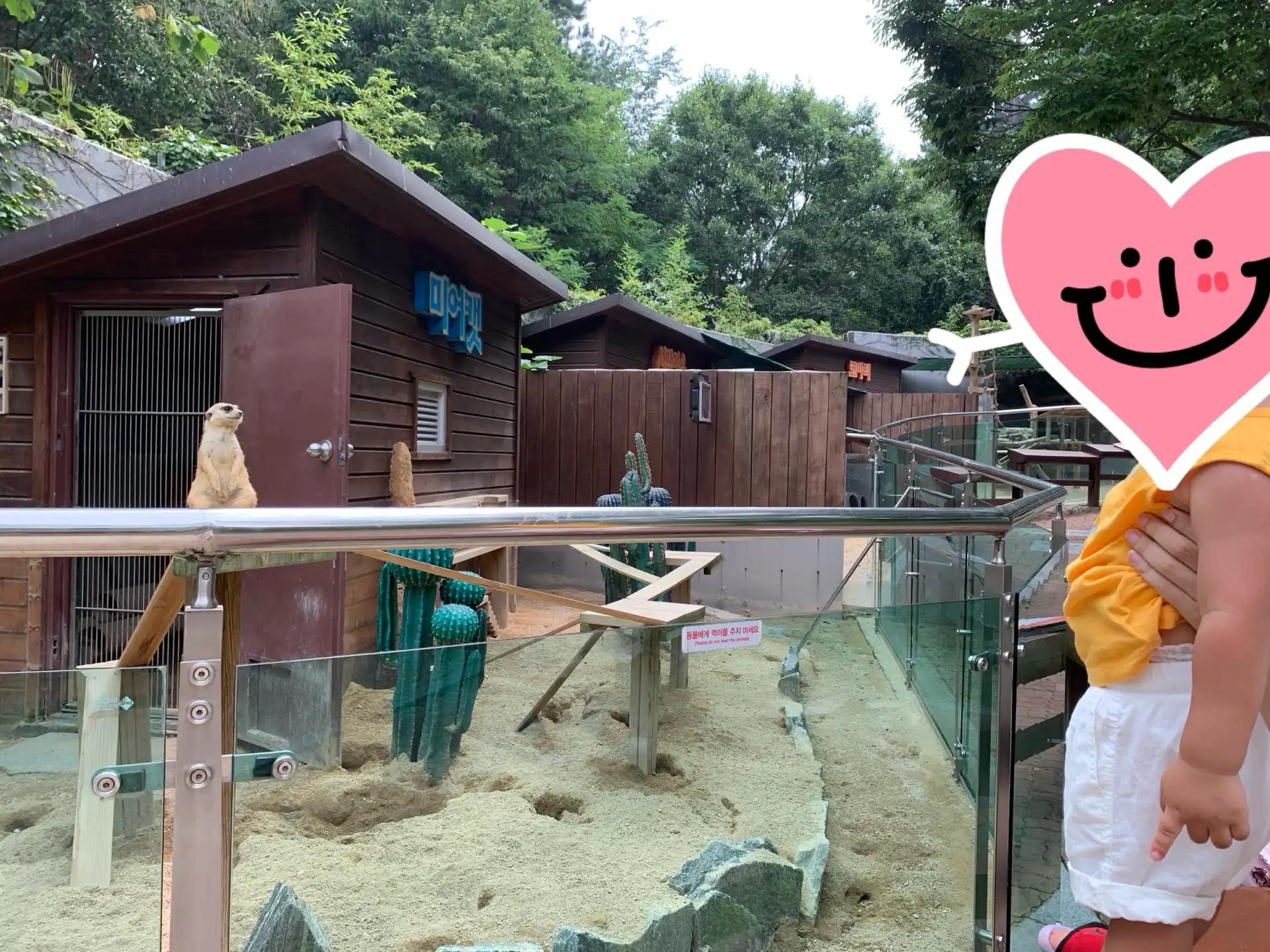 크루톡 이미지 2