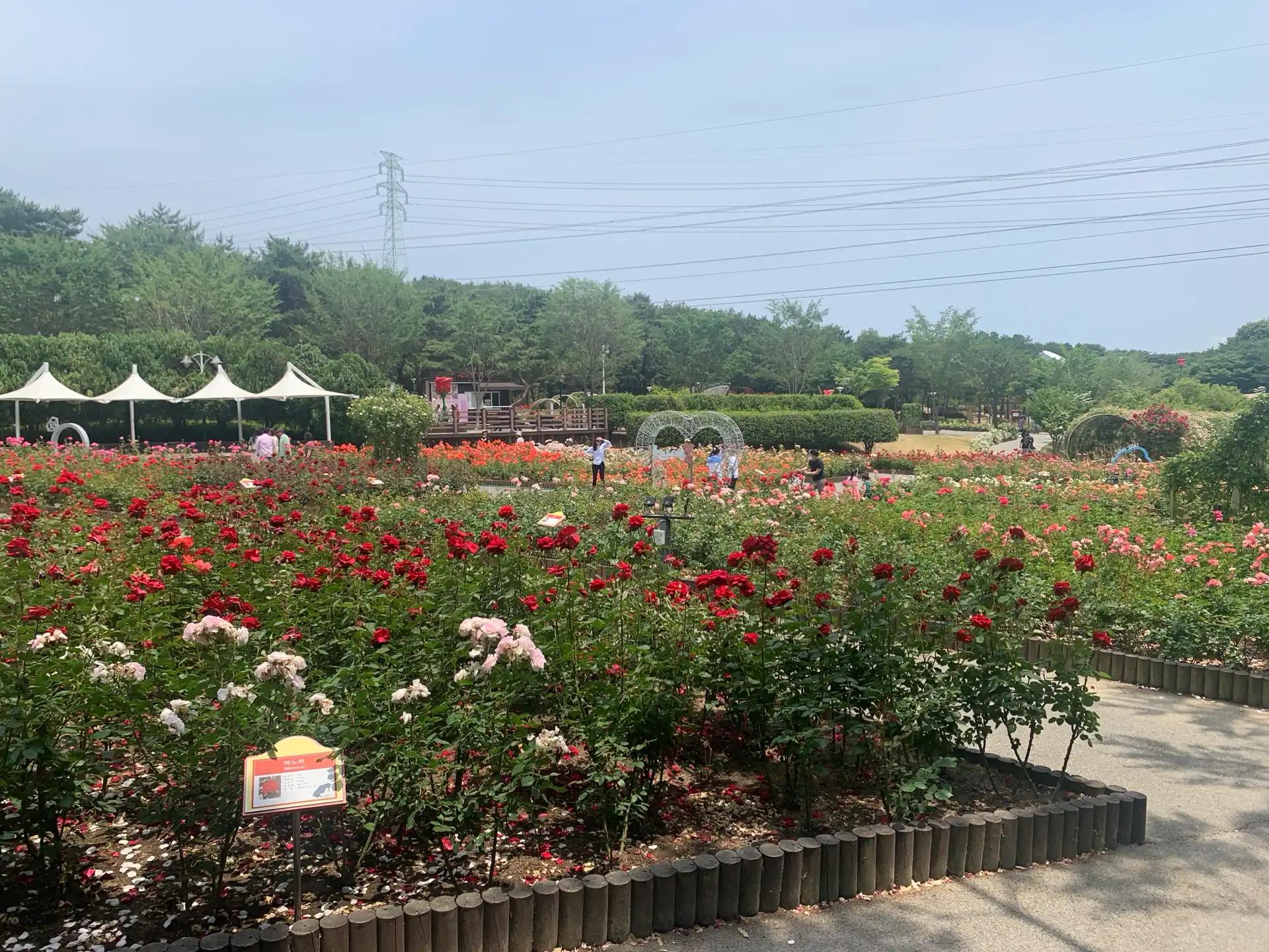 크루톡 이미지 3